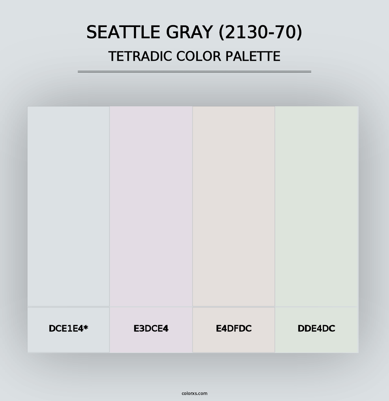 Seattle Gray (2130-70) - Tetradic Color Palette