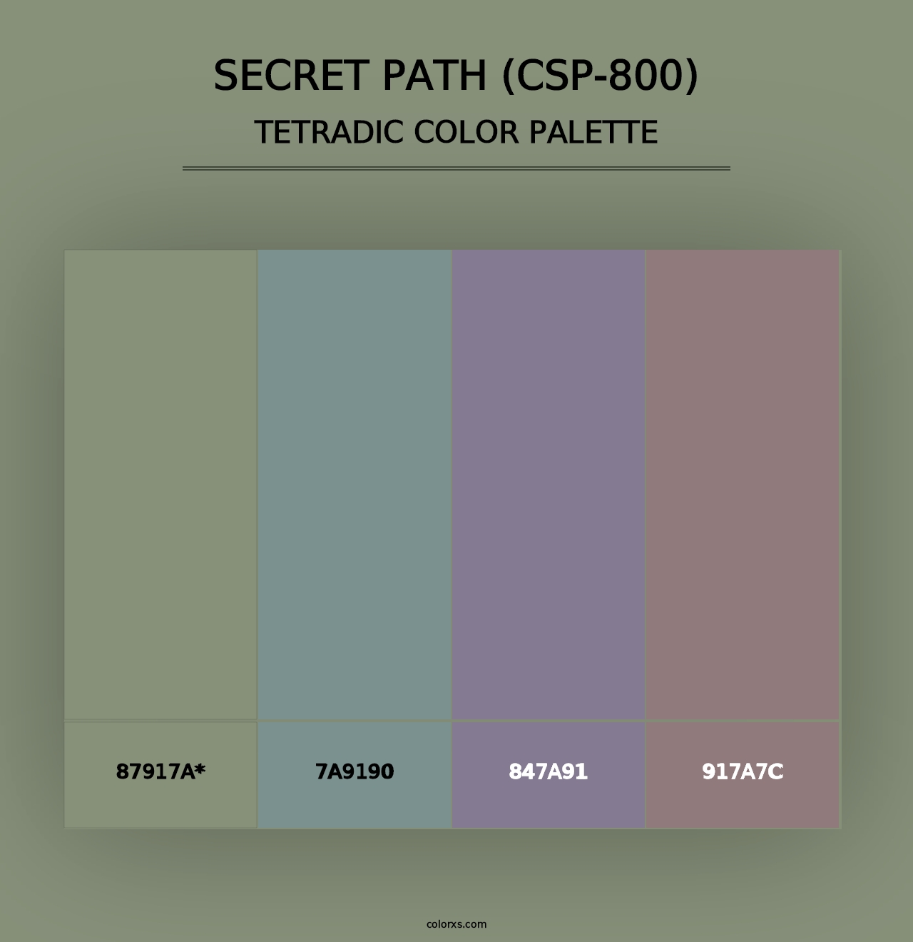 Secret Path (CSP-800) - Tetradic Color Palette