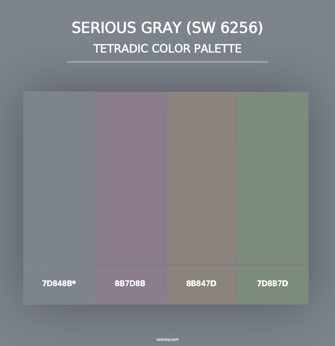 Serious Gray (SW 6256) - Tetradic Color Palette