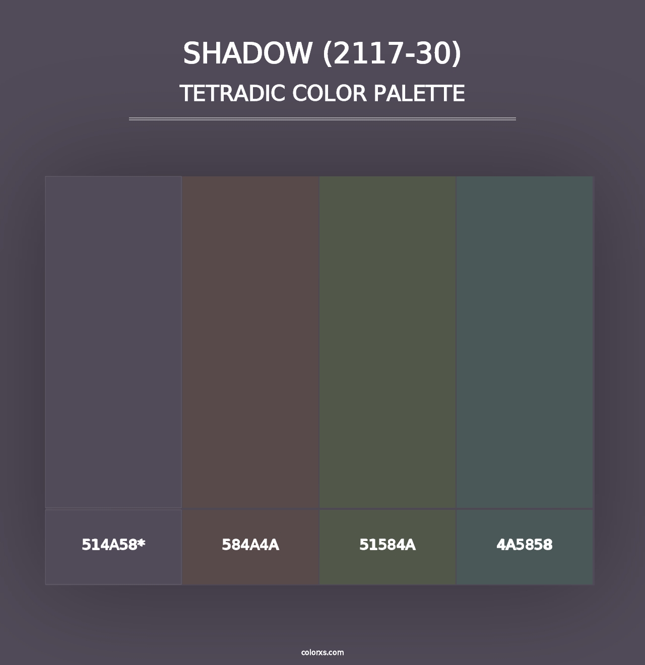 Shadow (2117-30) - Tetradic Color Palette