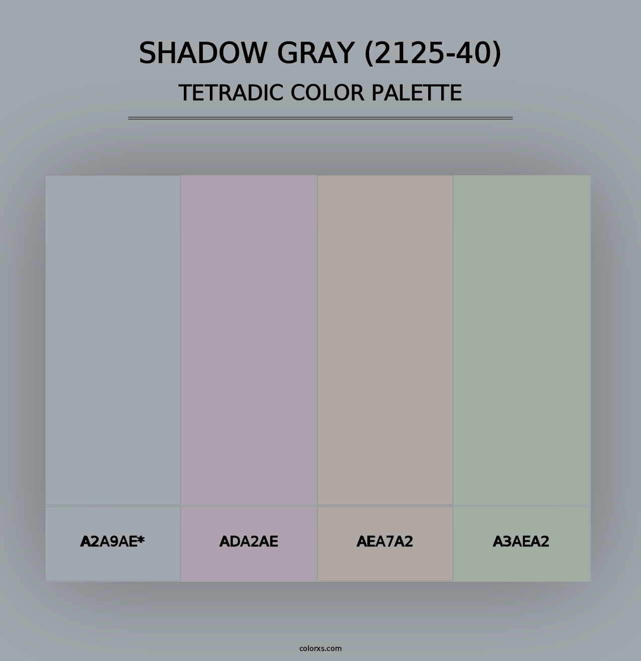 Shadow Gray (2125-40) - Tetradic Color Palette