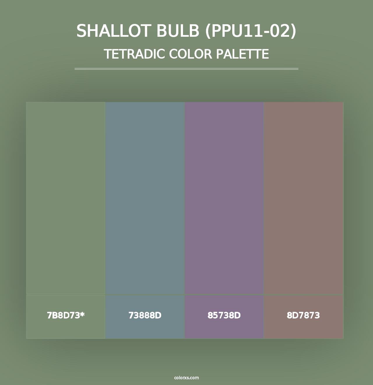 Shallot Bulb (PPU11-02) - Tetradic Color Palette