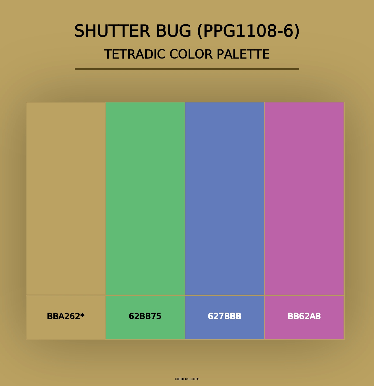 Shutter Bug (PPG1108-6) - Tetradic Color Palette