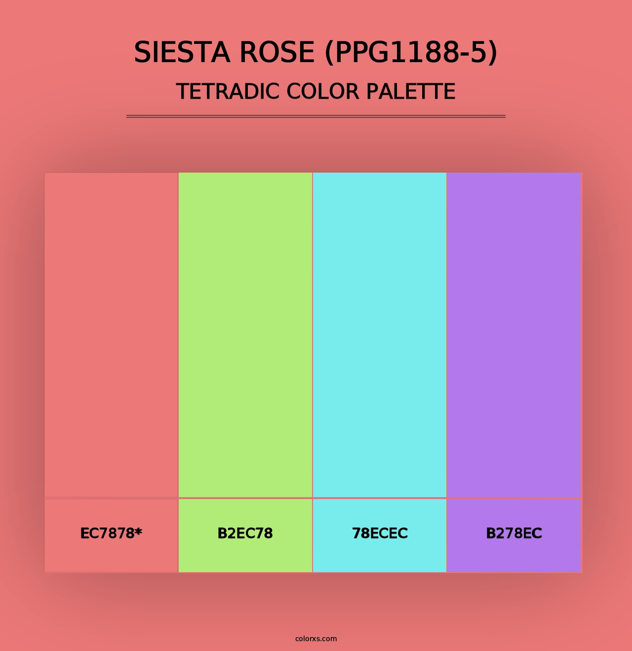 Siesta Rose (PPG1188-5) - Tetradic Color Palette