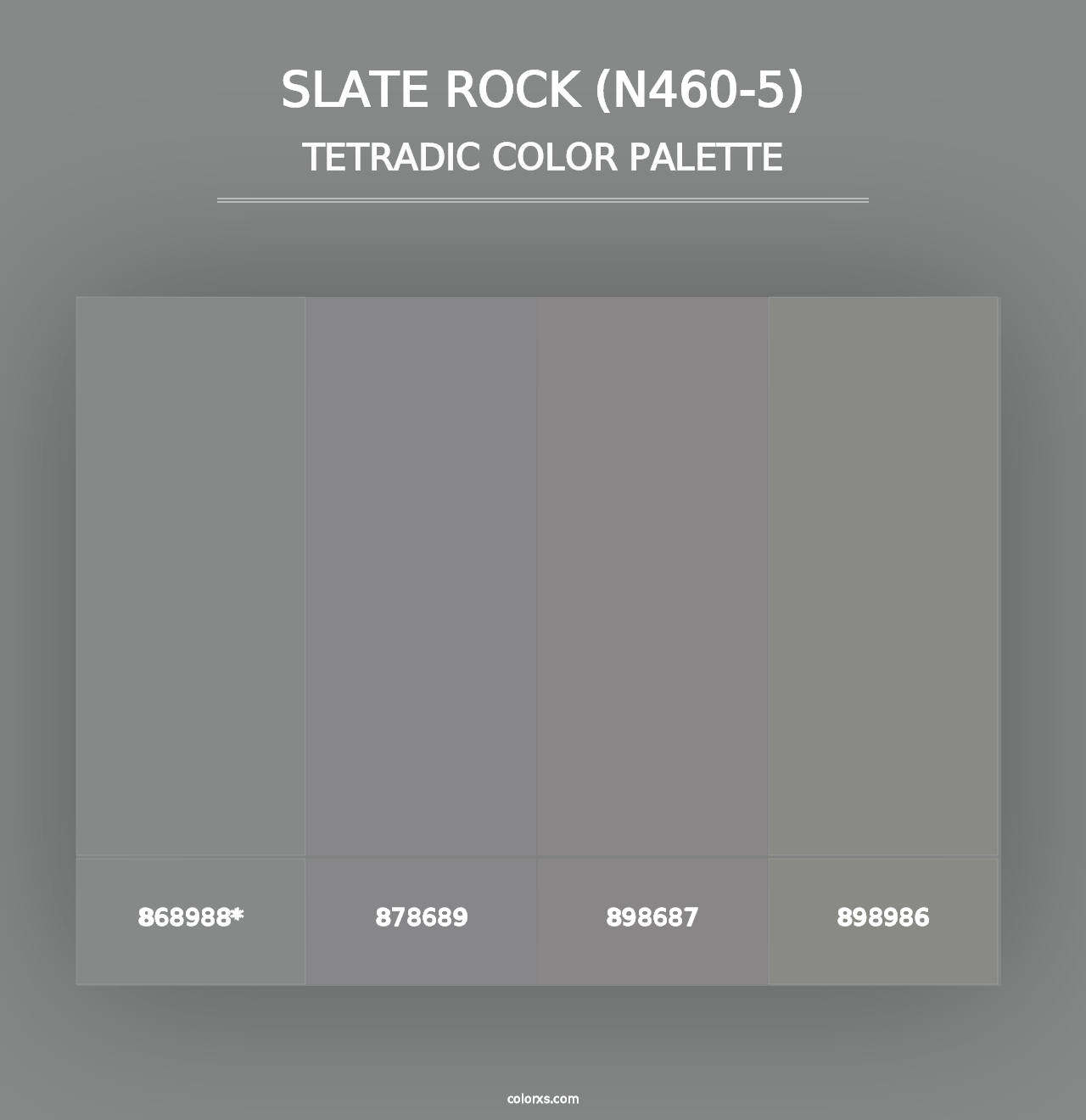 Slate Rock (N460-5) - Tetradic Color Palette