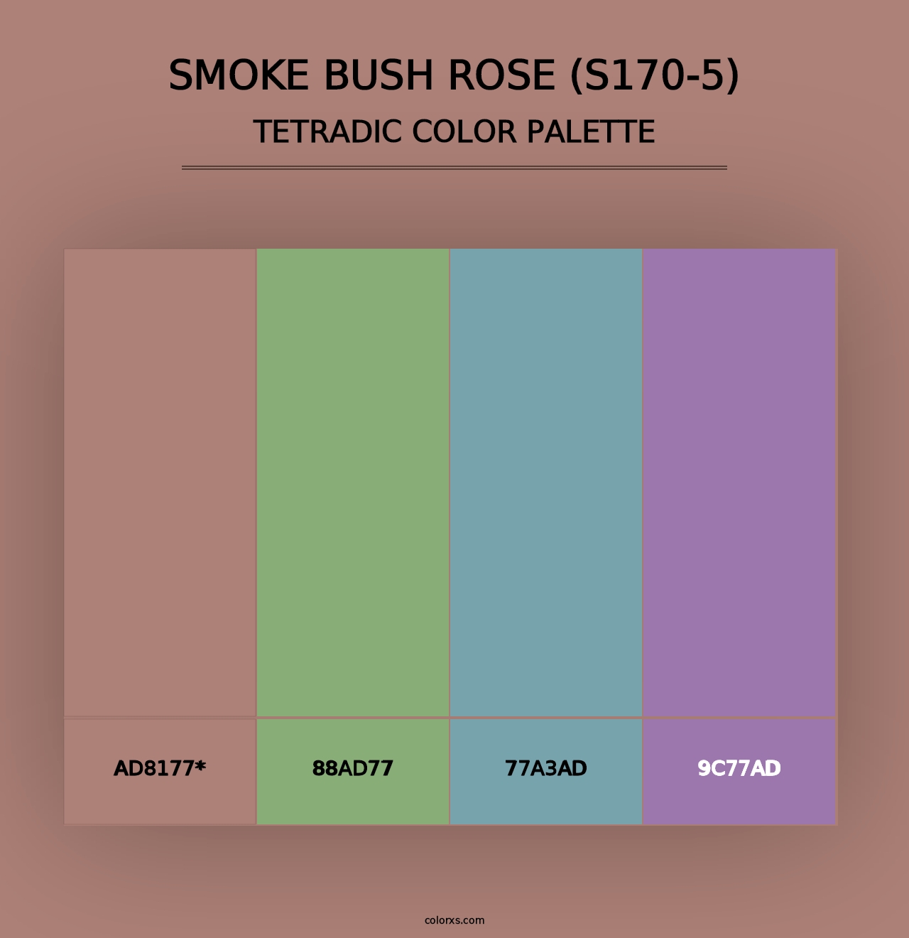 Smoke Bush Rose (S170-5) - Tetradic Color Palette