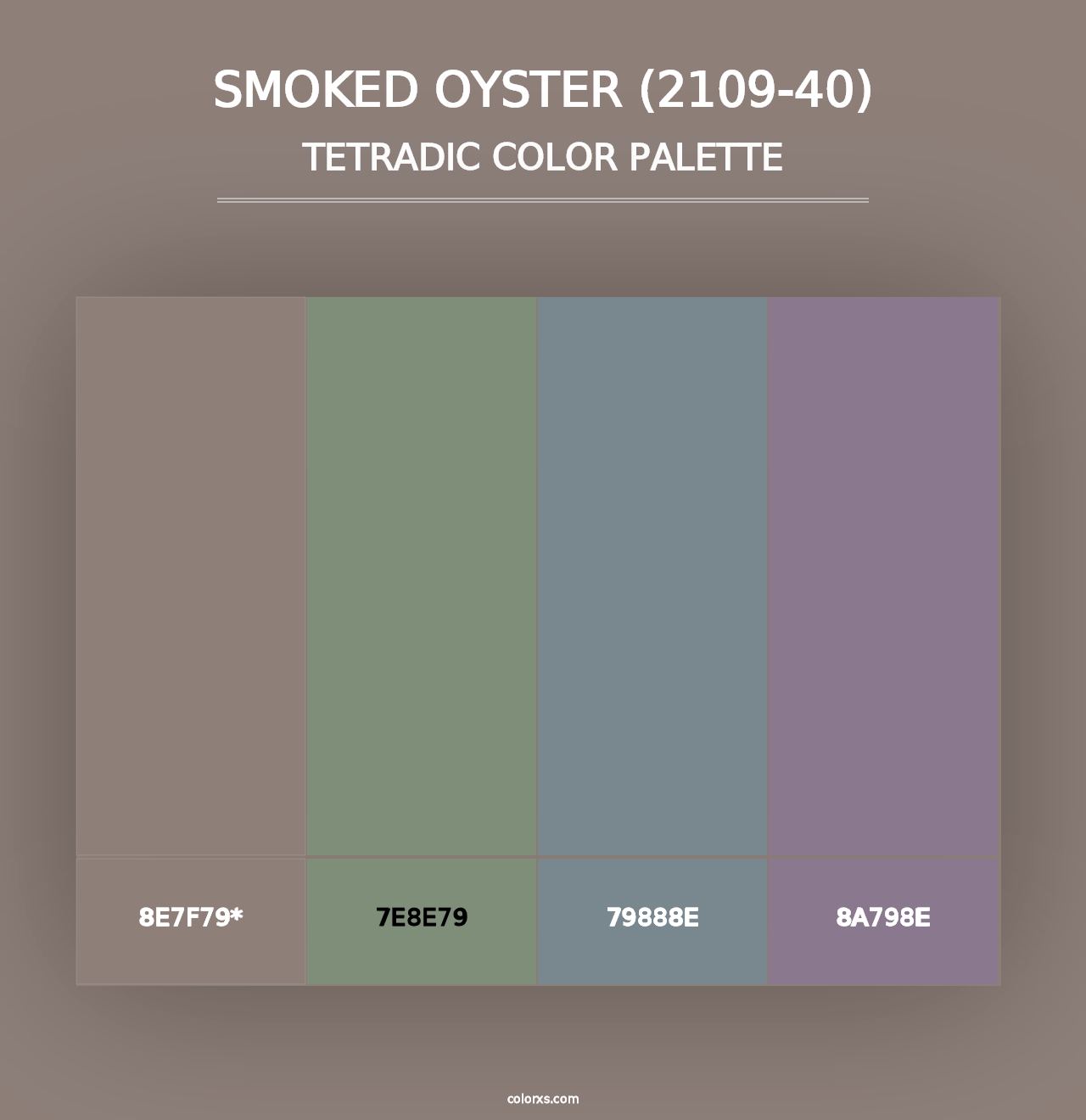 Smoked Oyster (2109-40) - Tetradic Color Palette