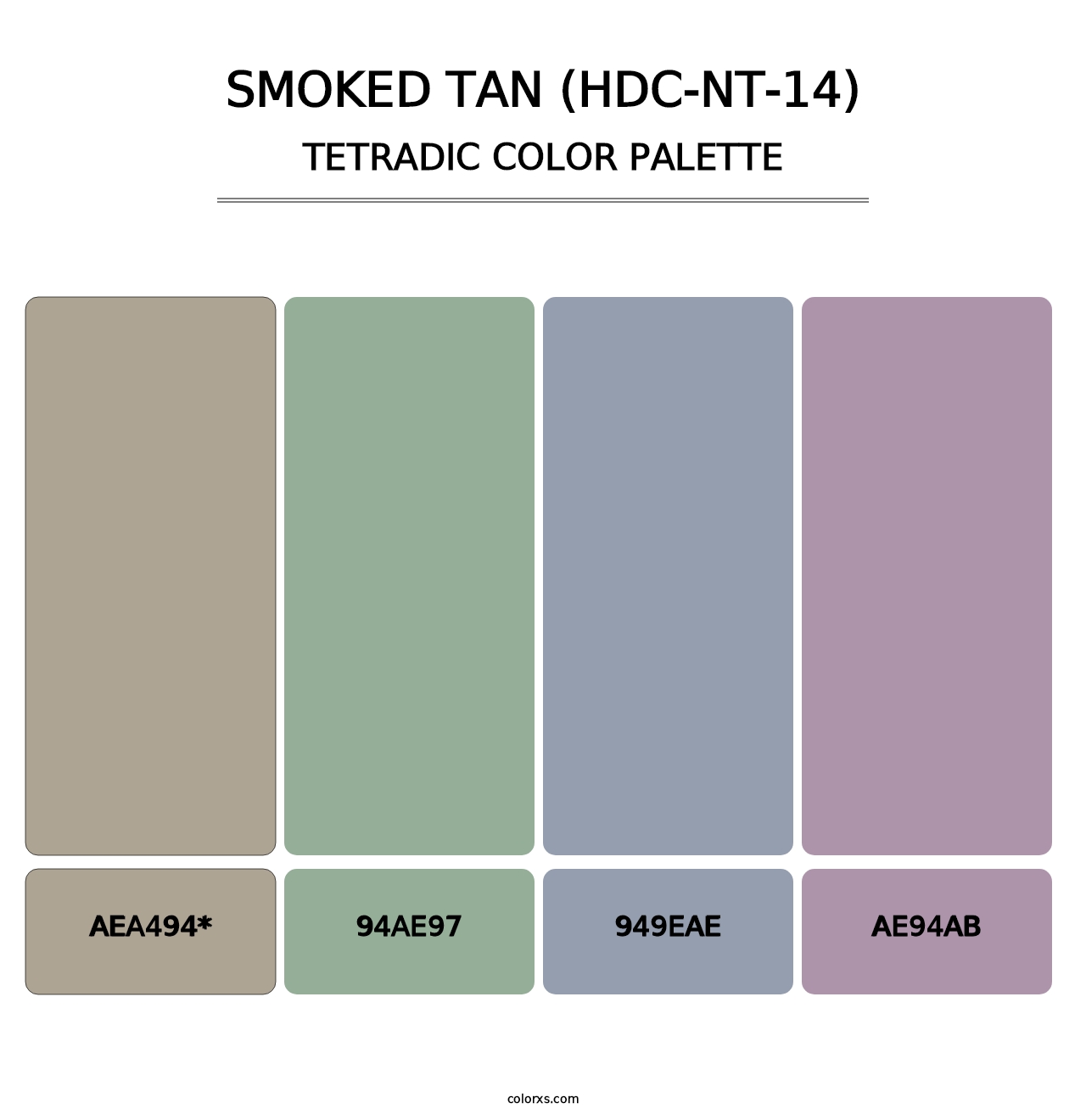 Smoked Tan (HDC-NT-14) - Tetradic Color Palette