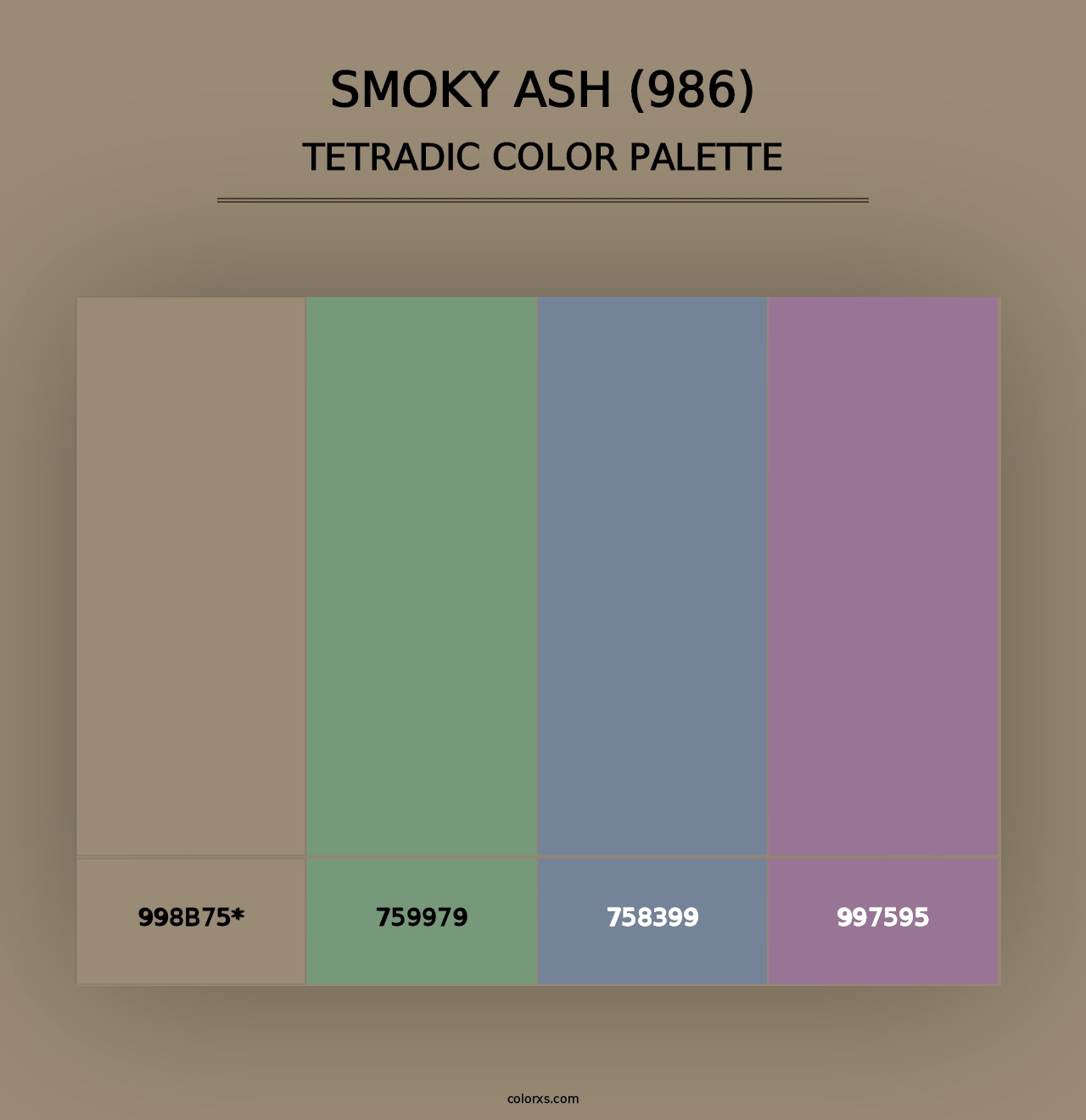 Smoky Ash (986) - Tetradic Color Palette