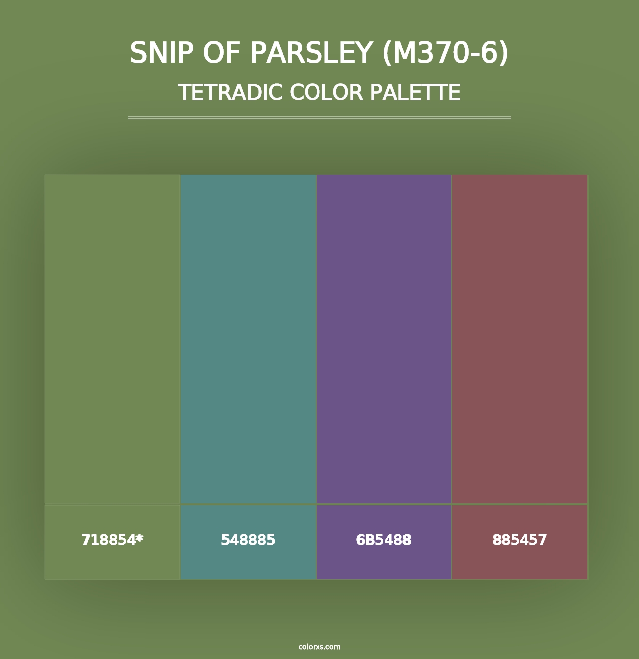 Snip Of Parsley (M370-6) - Tetradic Color Palette