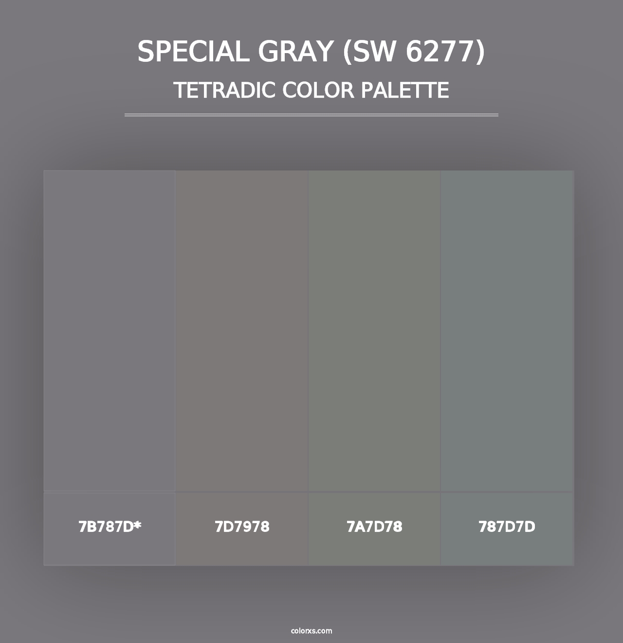 Special Gray (SW 6277) - Tetradic Color Palette