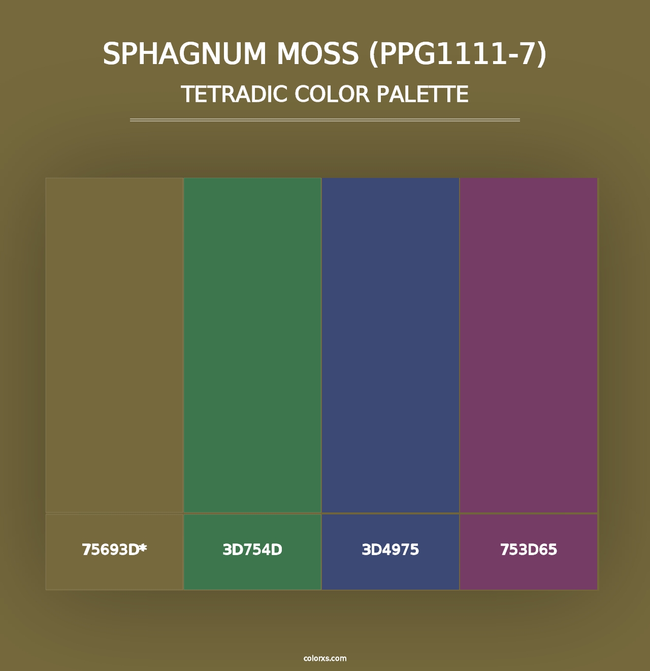 Sphagnum Moss (PPG1111-7) - Tetradic Color Palette