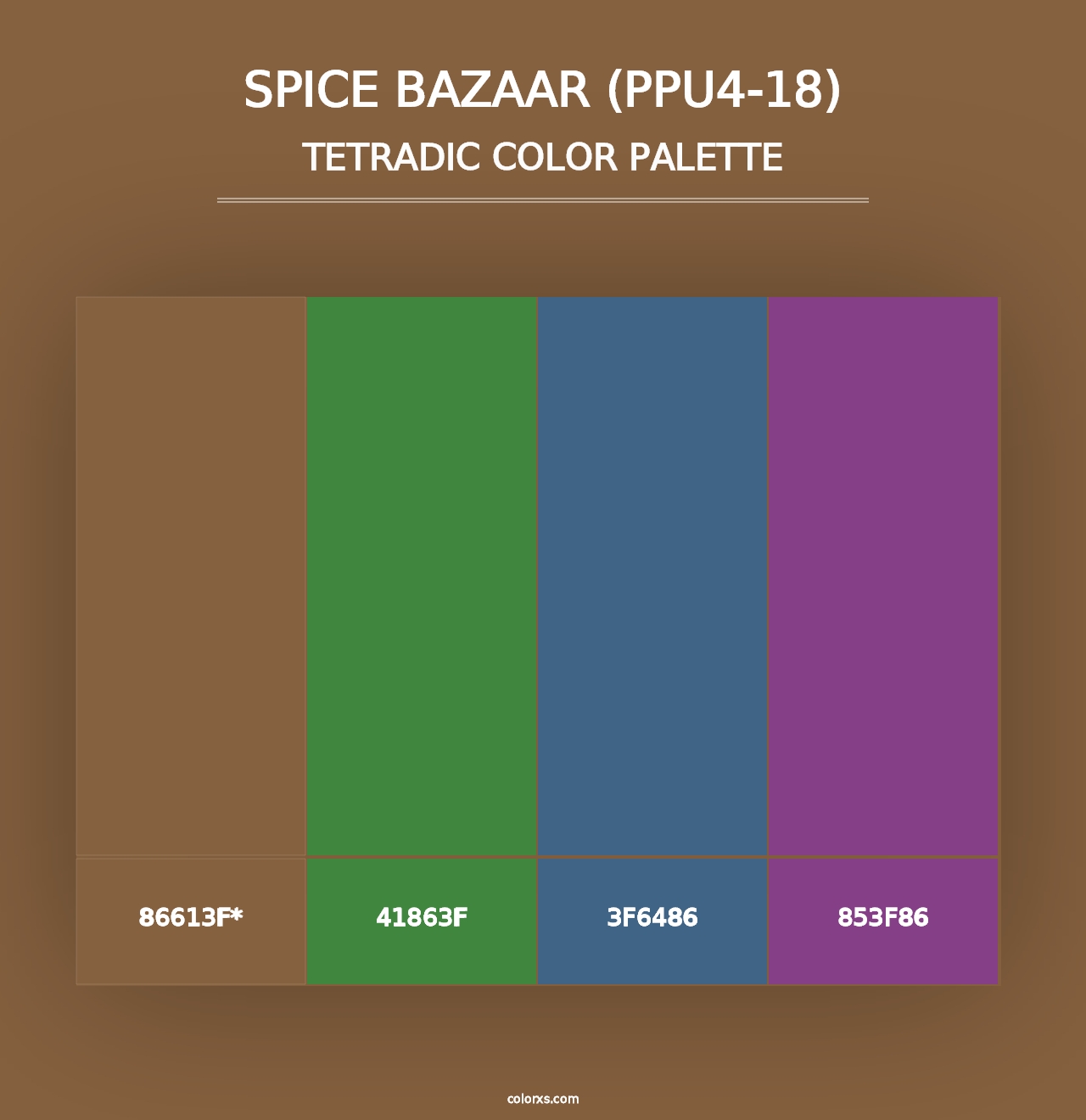 Spice Bazaar (PPU4-18) - Tetradic Color Palette