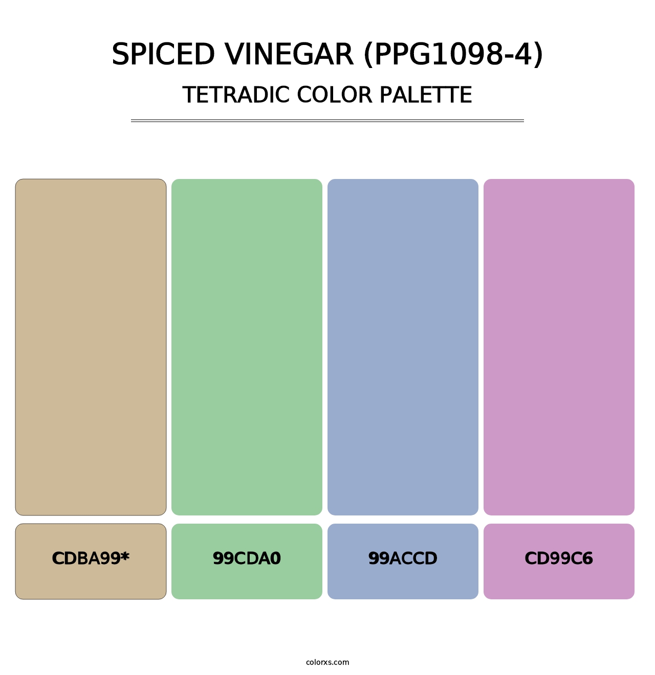 Spiced Vinegar (PPG1098-4) - Tetradic Color Palette