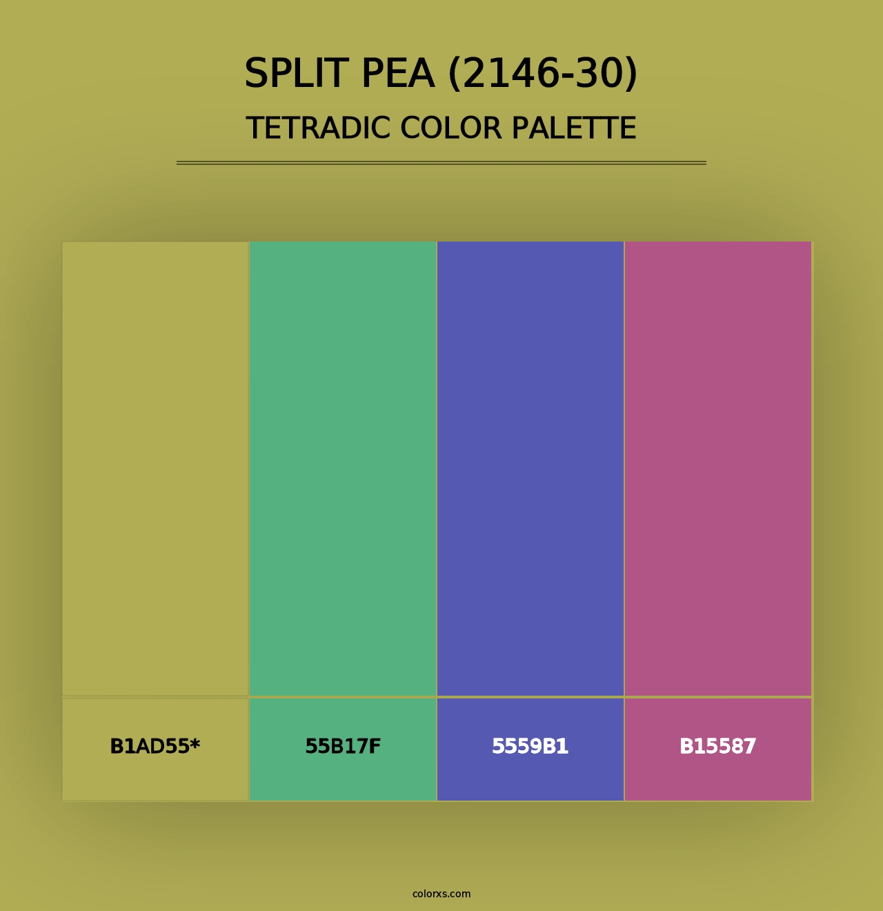 Split Pea (2146-30) - Tetradic Color Palette