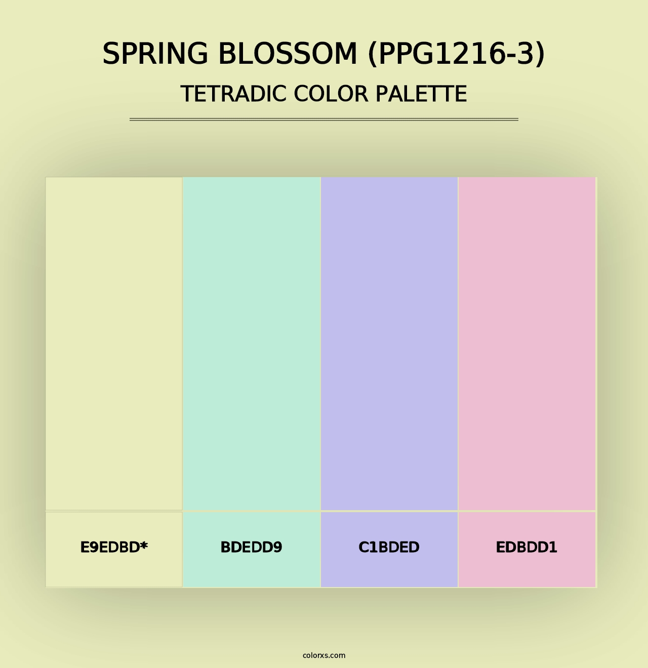 Spring Blossom (PPG1216-3) - Tetradic Color Palette