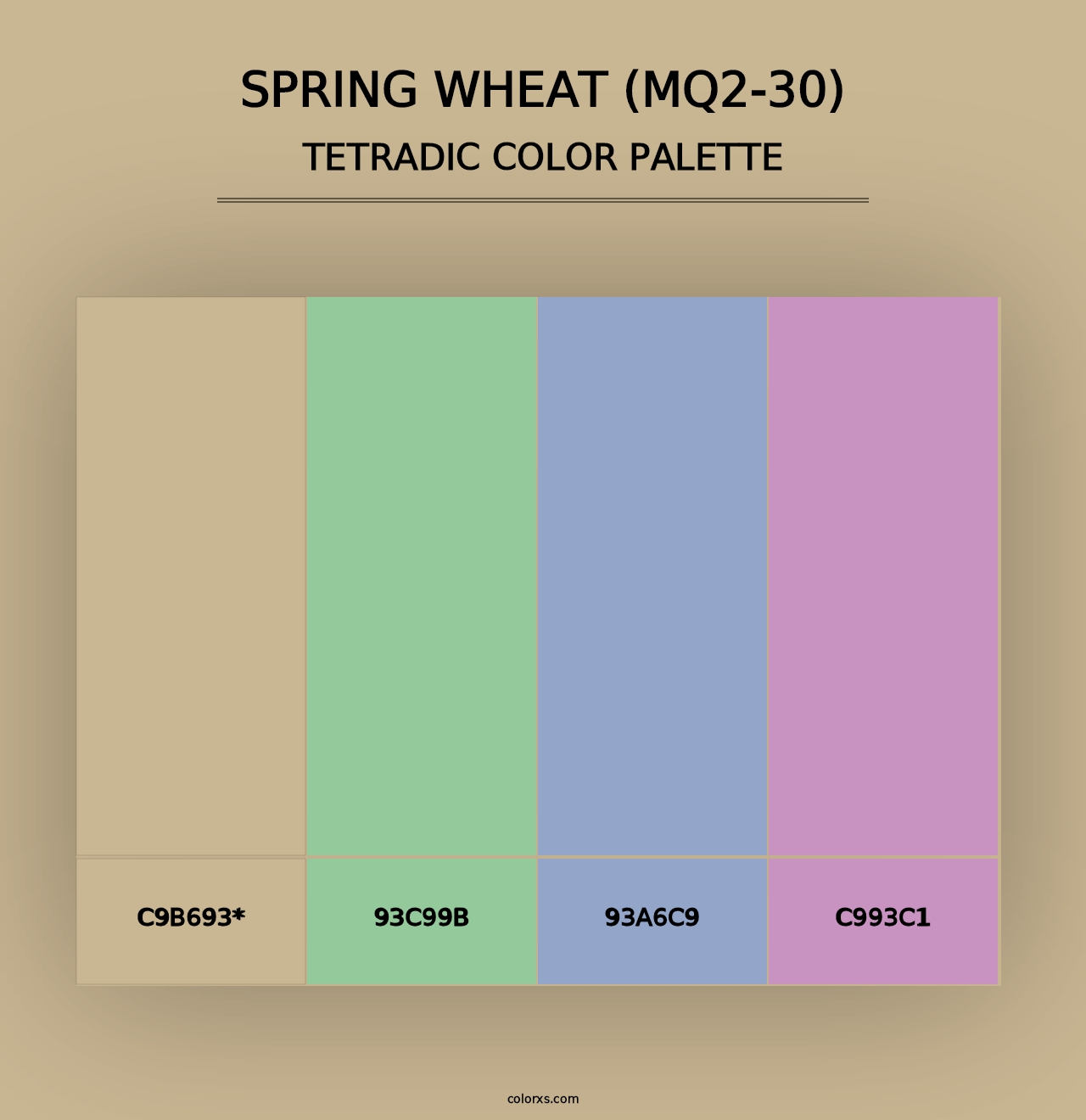 Spring Wheat (MQ2-30) - Tetradic Color Palette