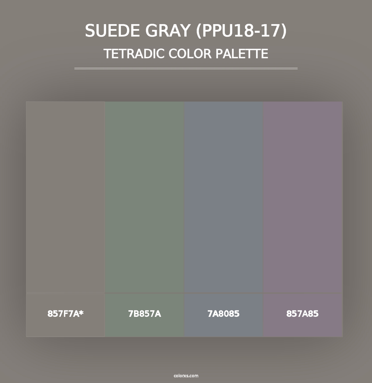 Suede Gray (PPU18-17) - Tetradic Color Palette