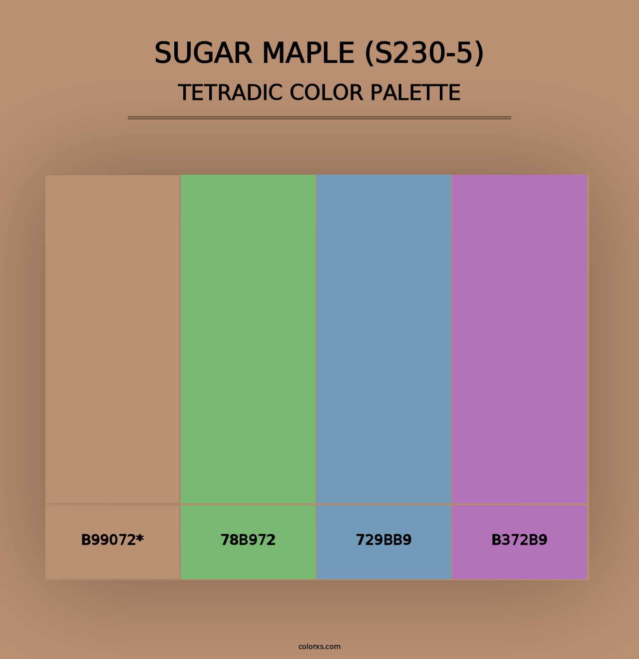 Sugar Maple (S230-5) - Tetradic Color Palette