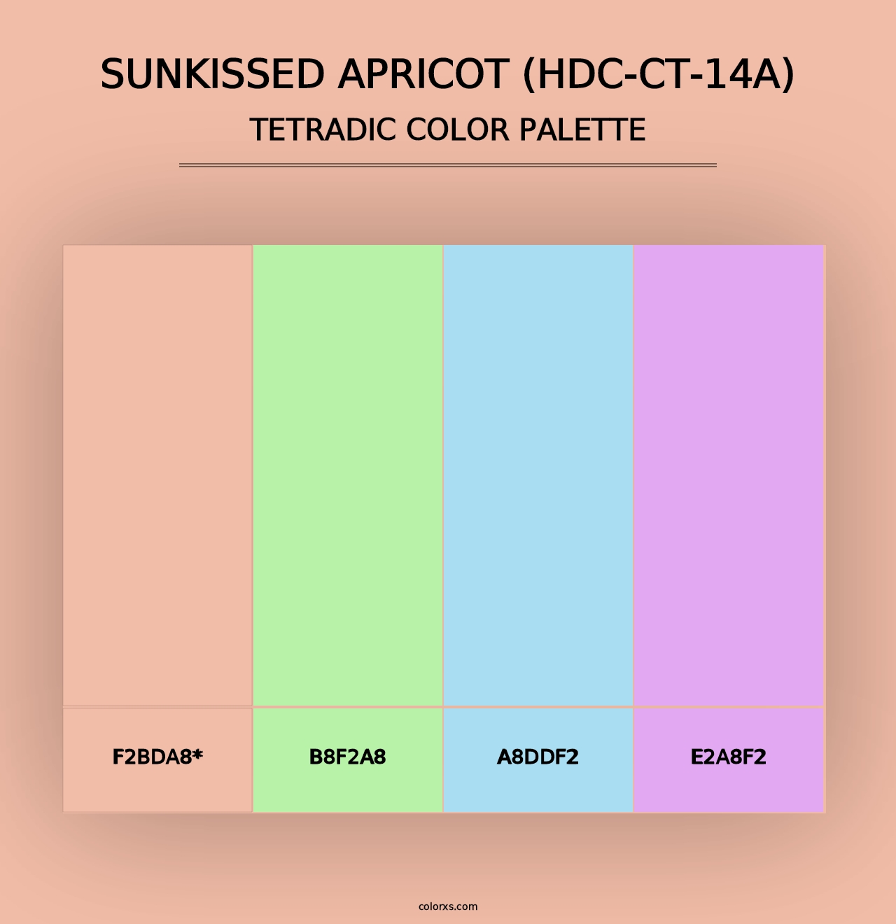 Sunkissed Apricot (HDC-CT-14A) - Tetradic Color Palette