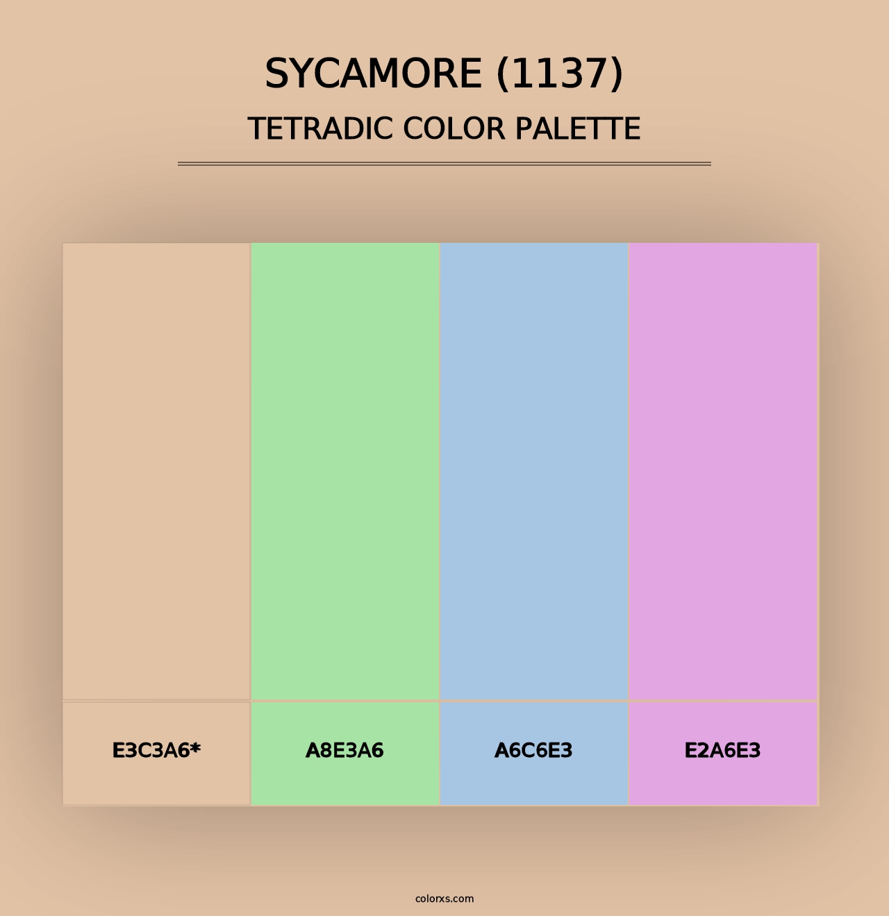 Sycamore (1137) - Tetradic Color Palette