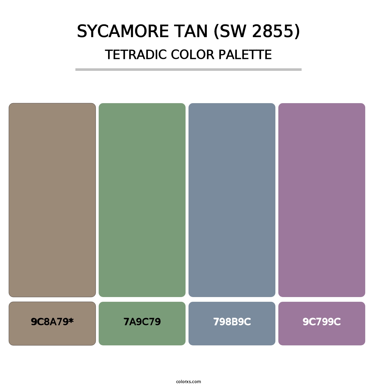 Sycamore Tan (SW 2855) - Tetradic Color Palette