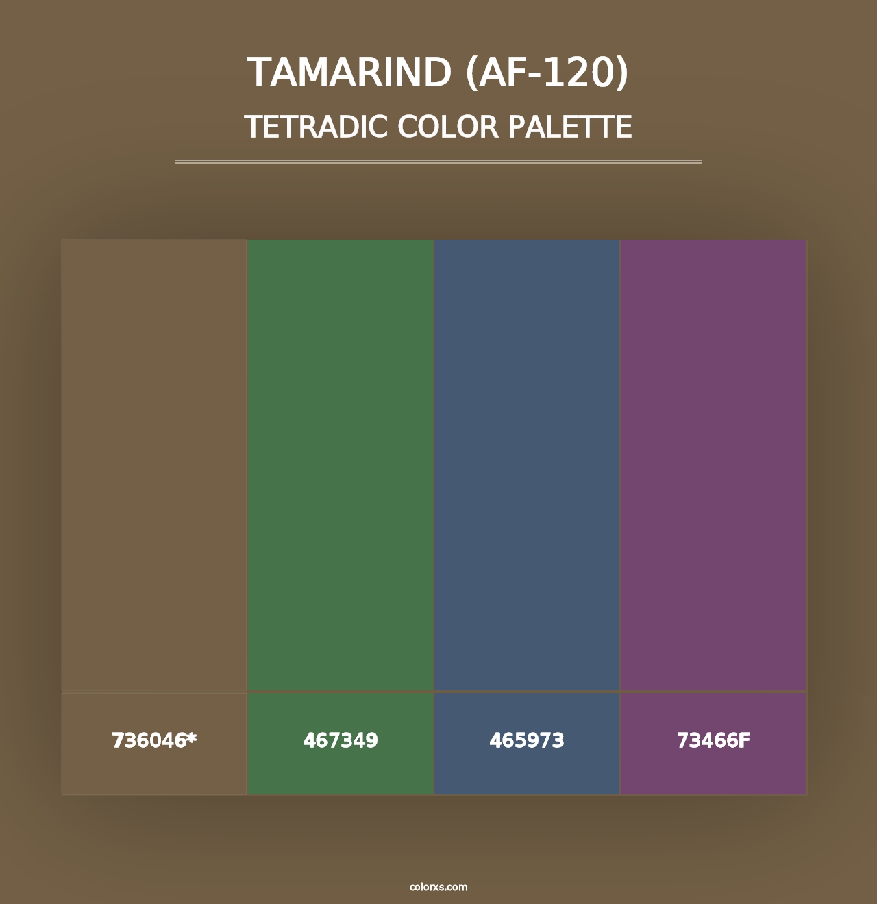 Tamarind (AF-120) - Tetradic Color Palette