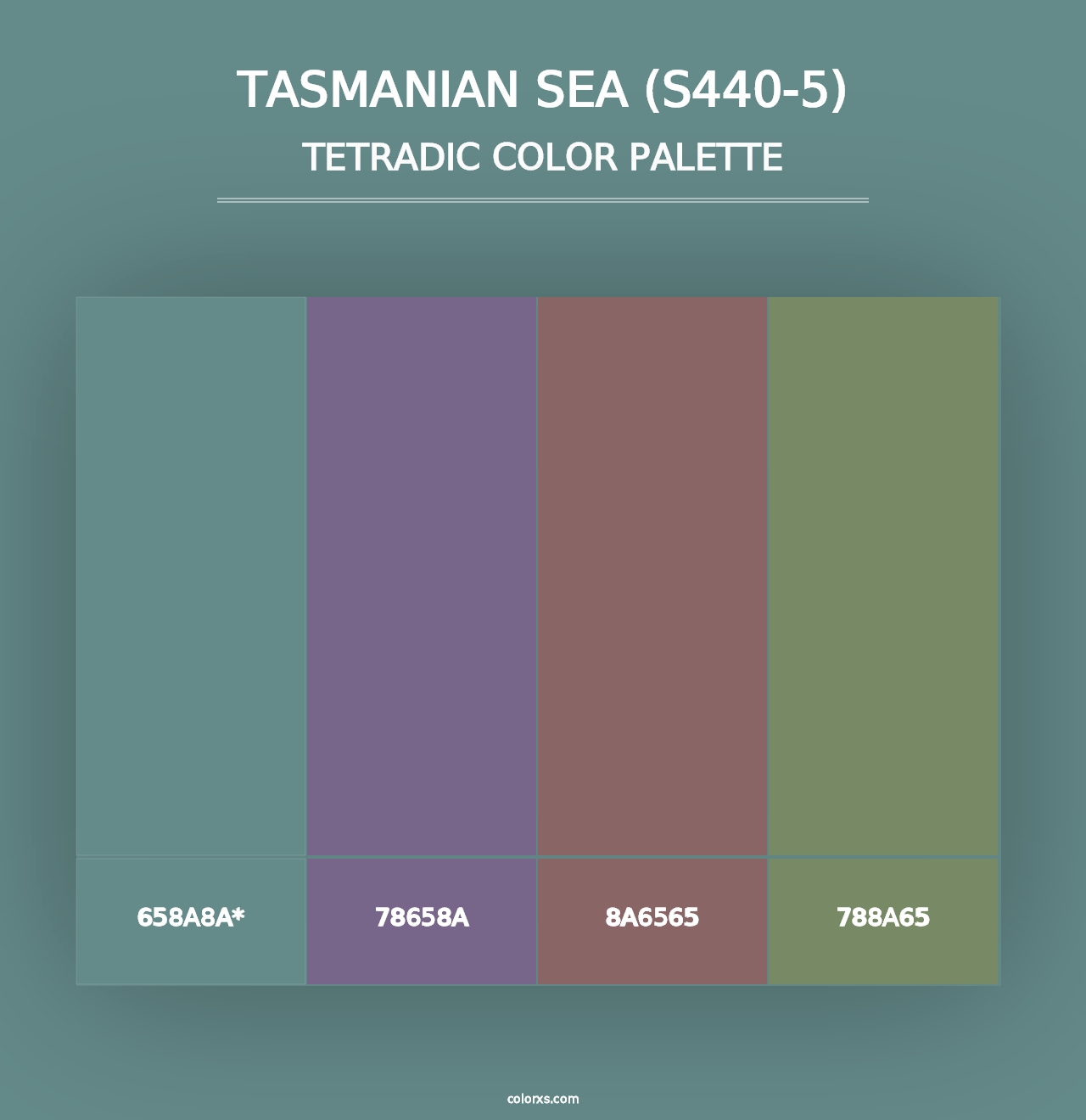 Tasmanian Sea (S440-5) - Tetradic Color Palette