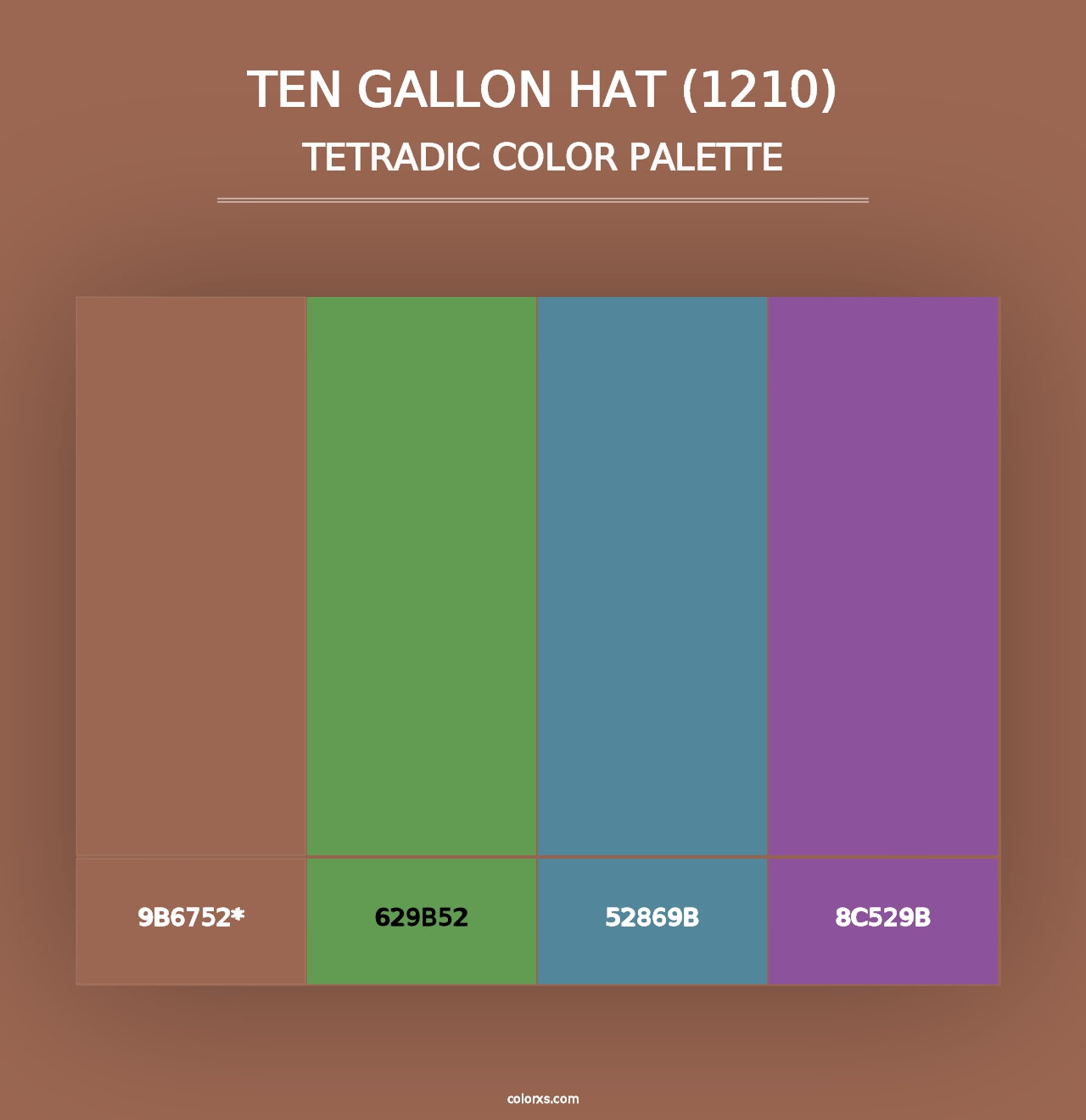 Ten Gallon Hat (1210) - Tetradic Color Palette