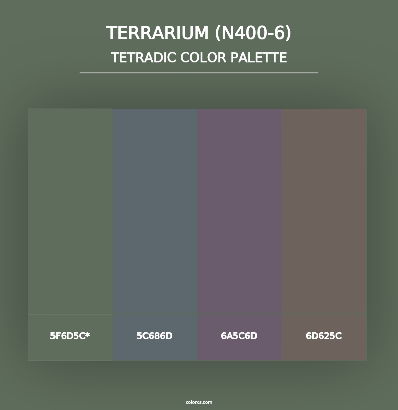 Terrarium (N400-6) - Tetradic Color Palette