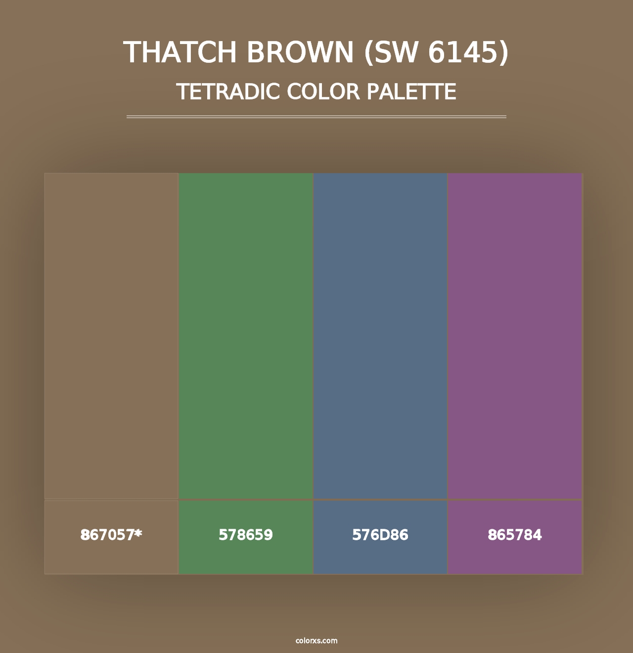 Thatch Brown (SW 6145) - Tetradic Color Palette