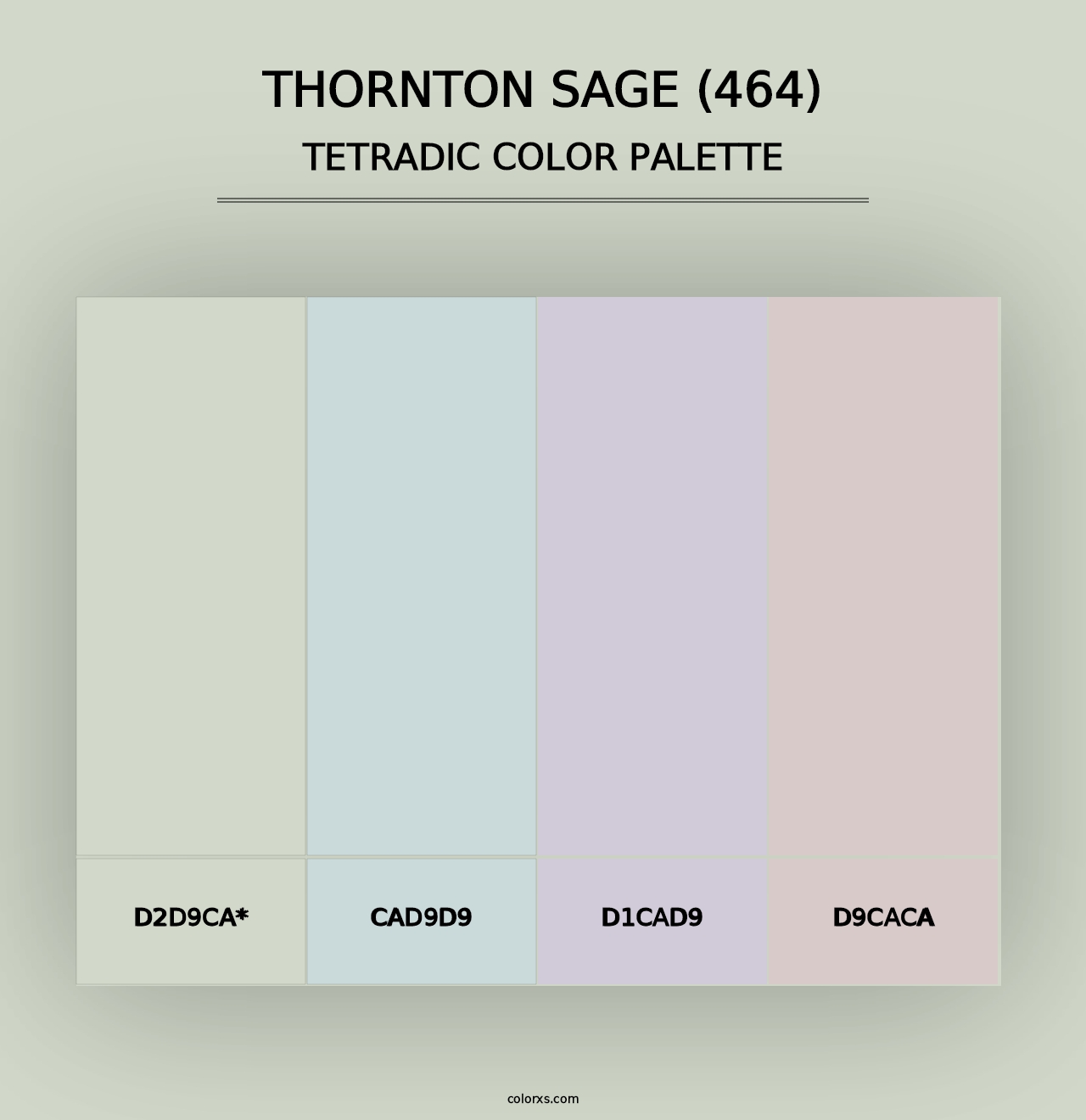 Thornton Sage (464) - Tetradic Color Palette