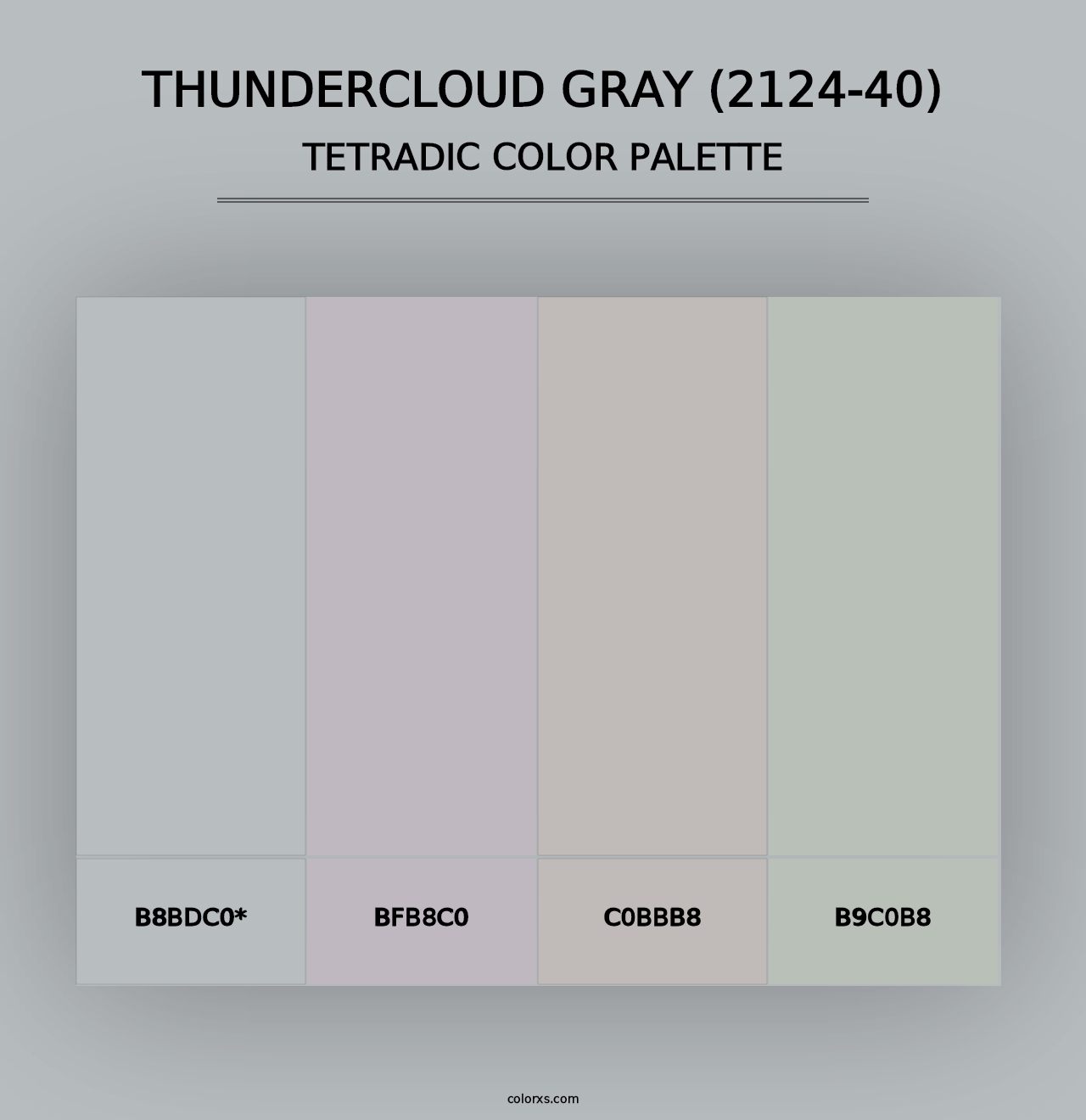 Thundercloud Gray (2124-40) - Tetradic Color Palette