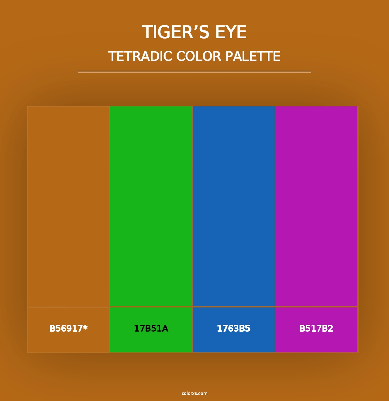 Tiger’s Eye - Tetradic Color Palette