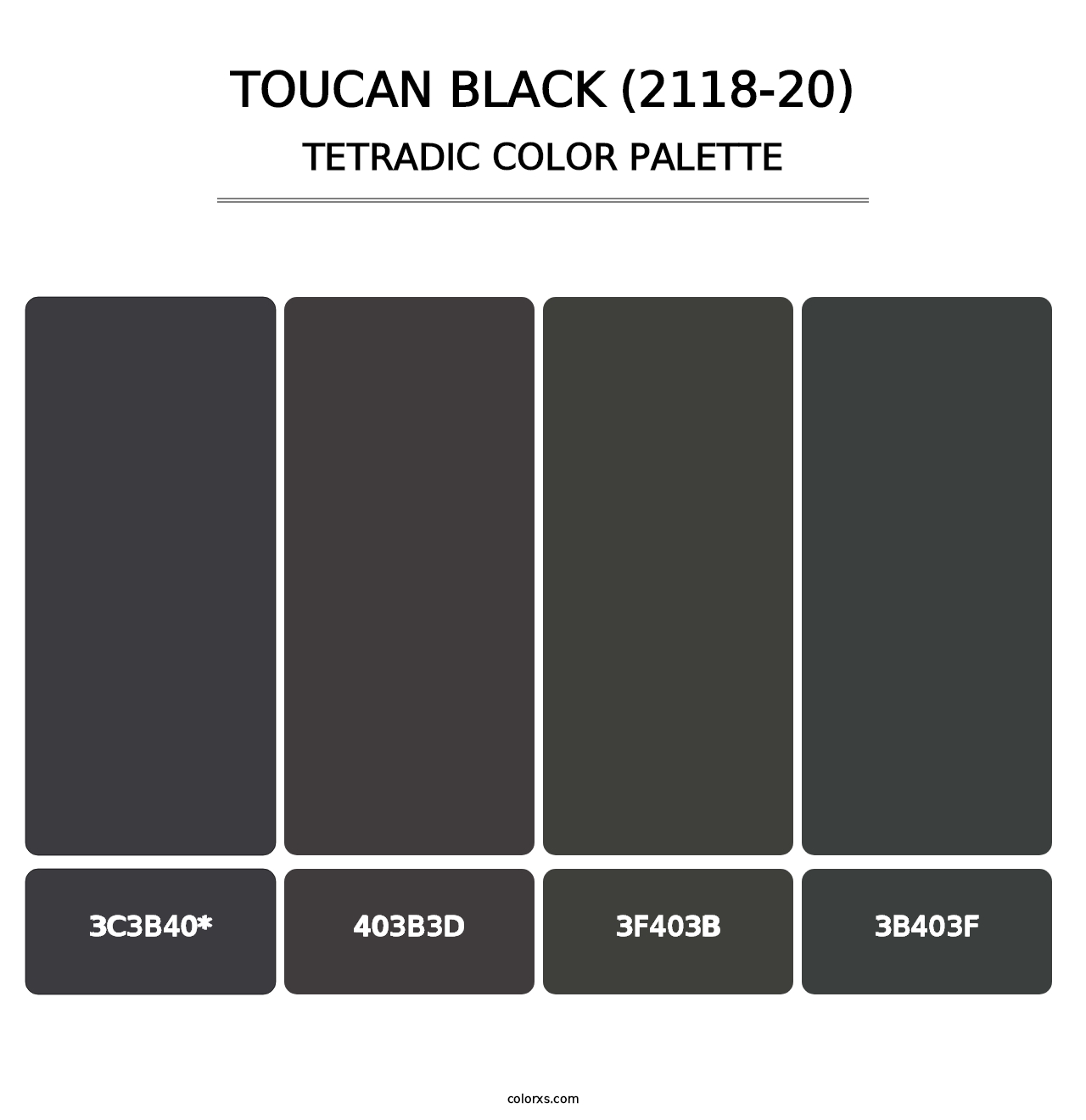 Toucan Black (2118-20) - Tetradic Color Palette