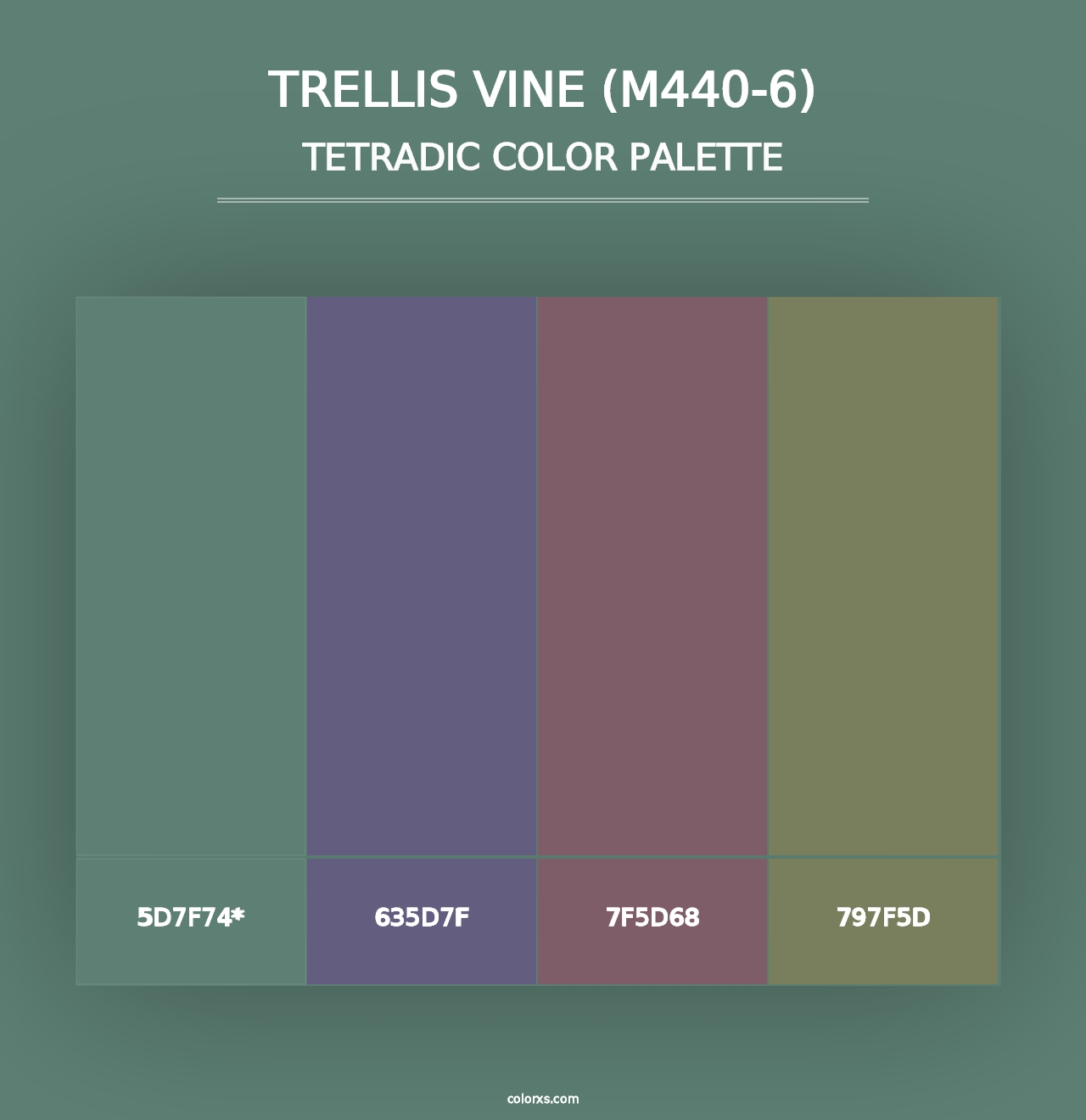 Trellis Vine (M440-6) - Tetradic Color Palette