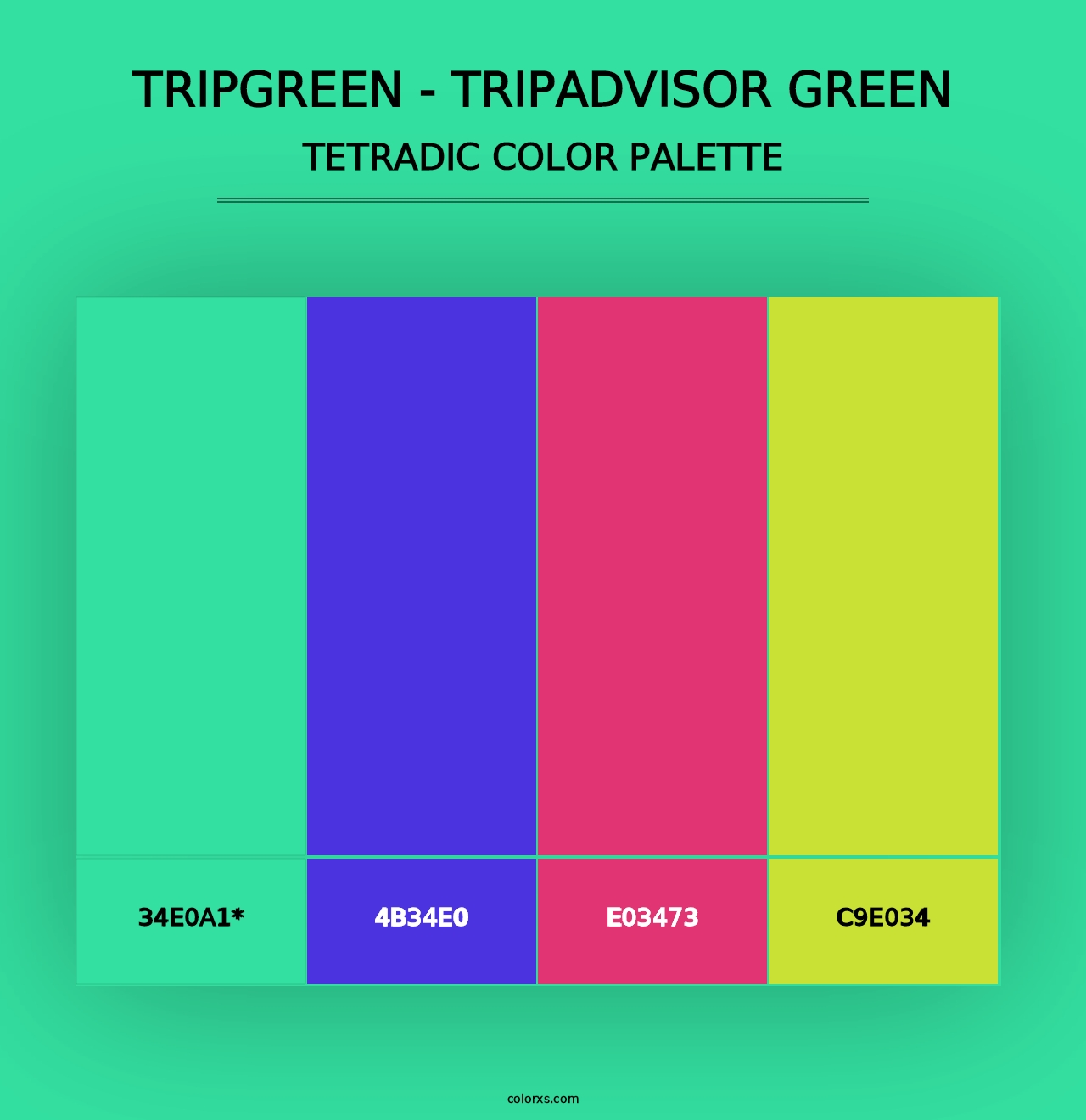 TripGreen - Tripadvisor Green - Tetradic Color Palette