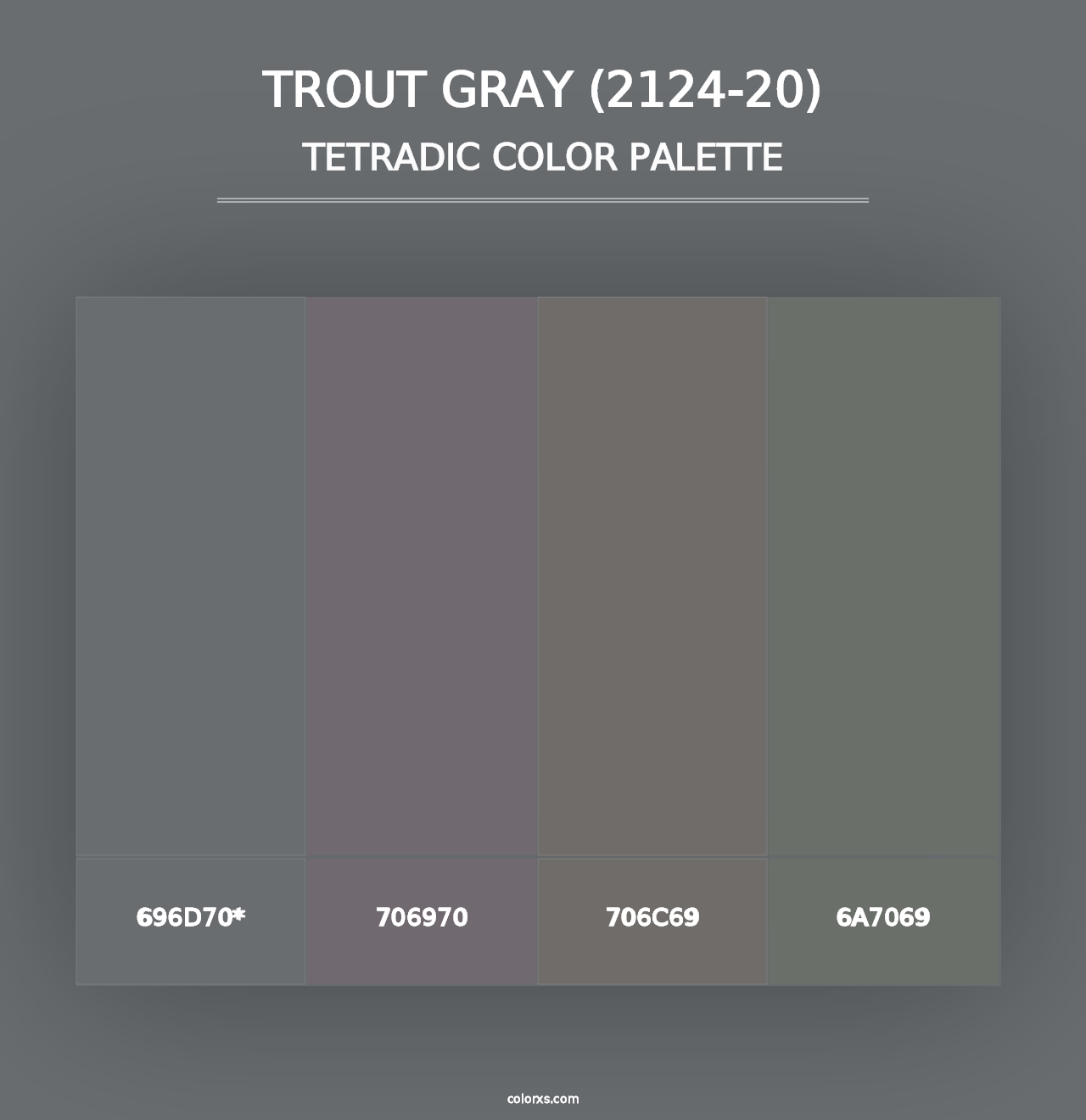 Trout Gray (2124-20) - Tetradic Color Palette