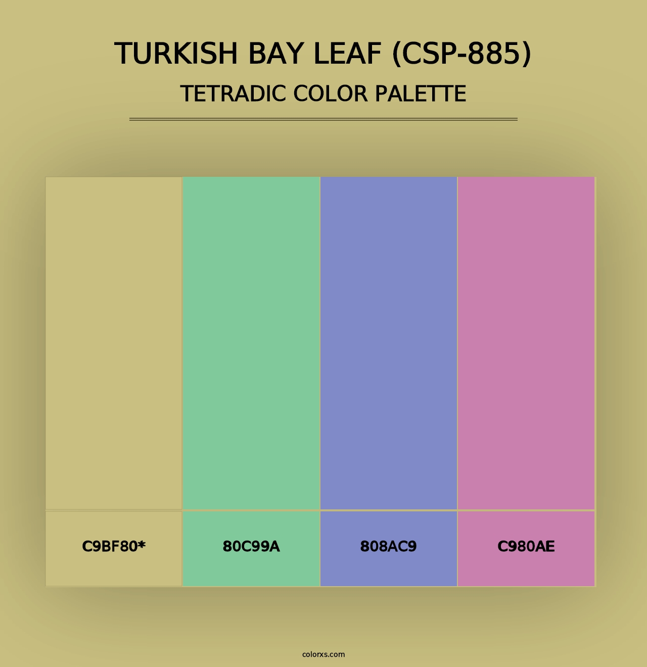 Turkish Bay Leaf (CSP-885) - Tetradic Color Palette