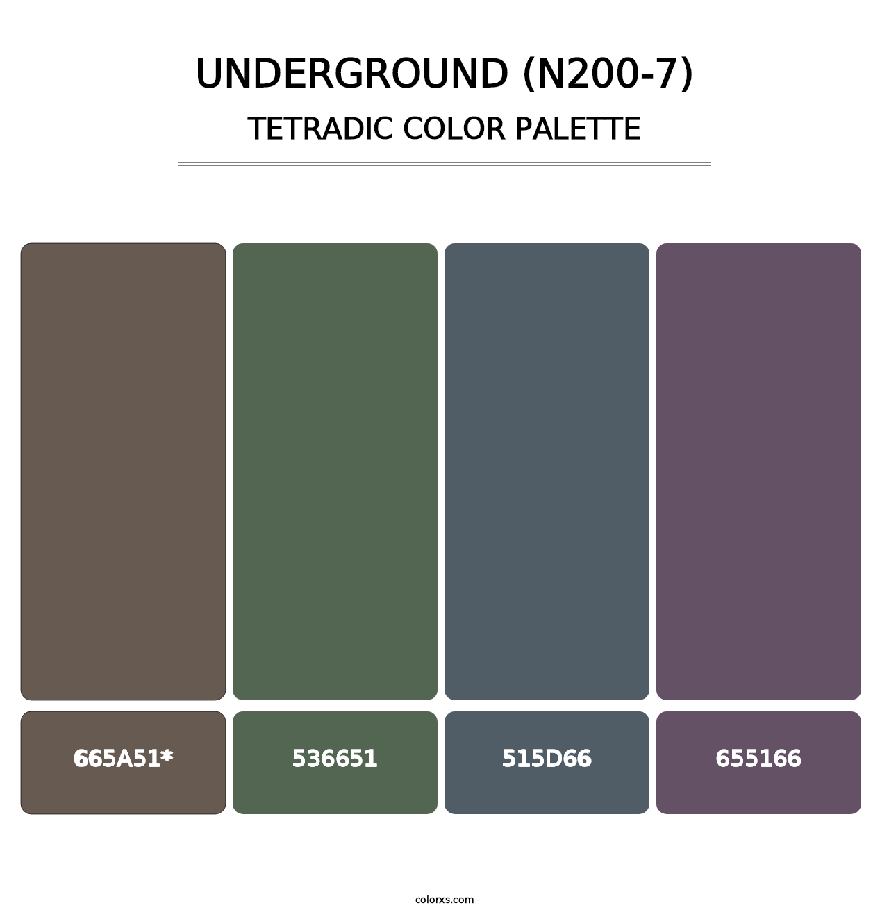 Underground (N200-7) - Tetradic Color Palette