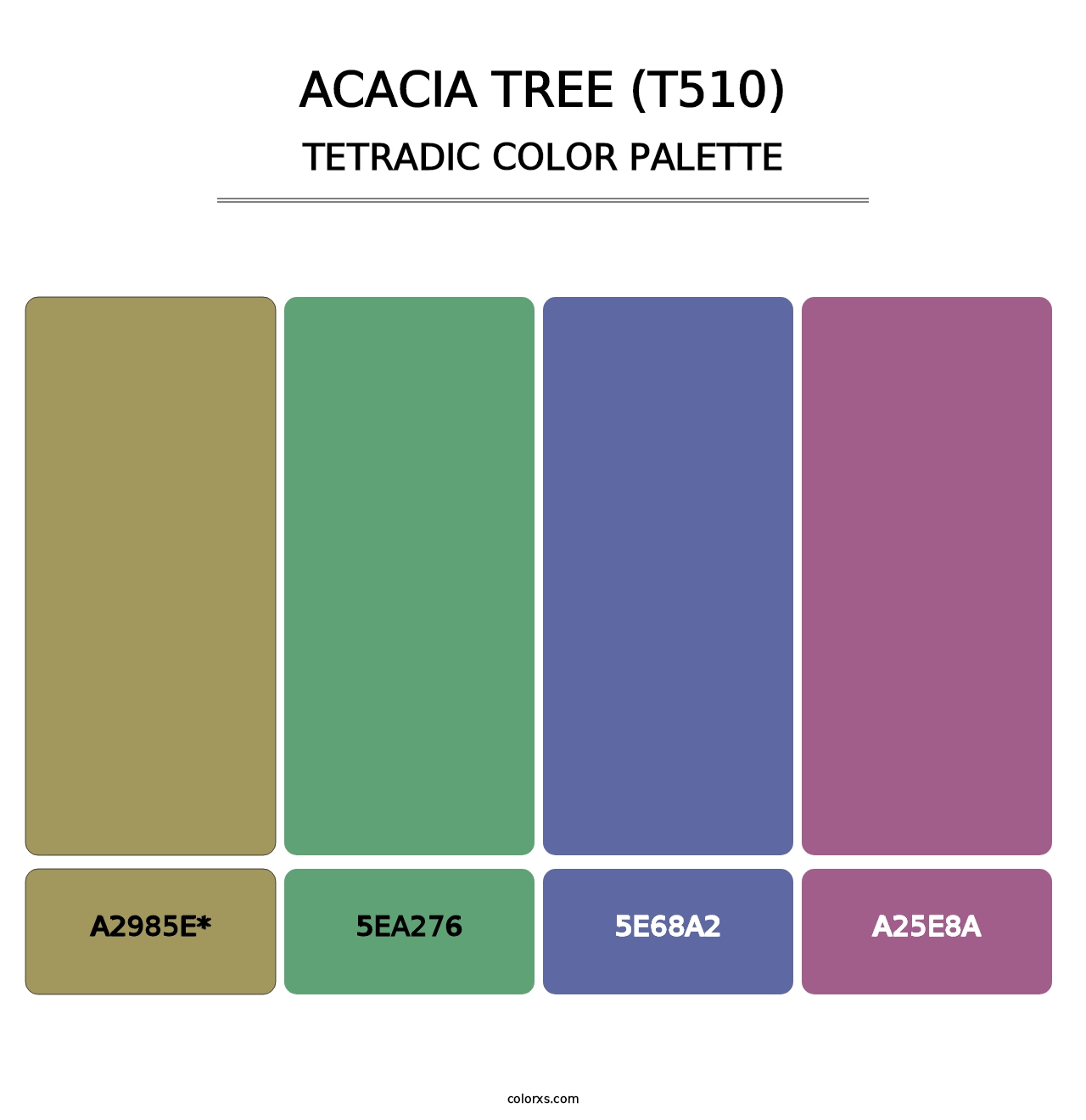 Acacia Tree (T510) - Tetradic Color Palette
