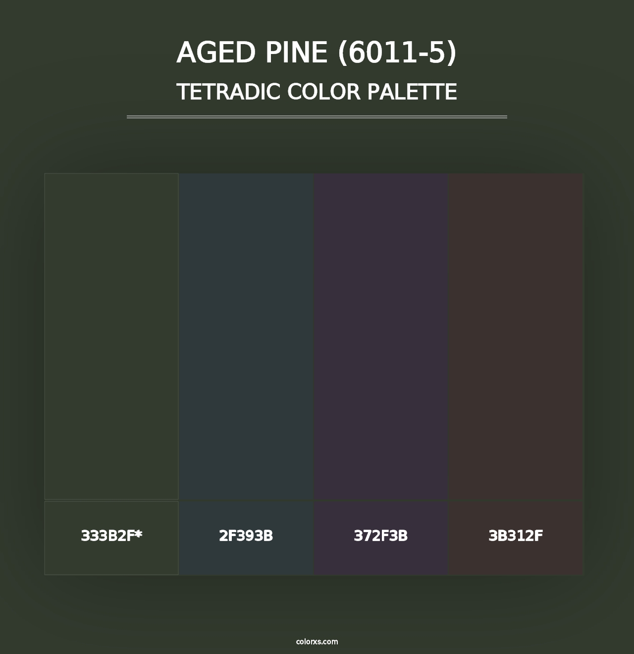 Aged Pine (6011-5) - Tetradic Color Palette