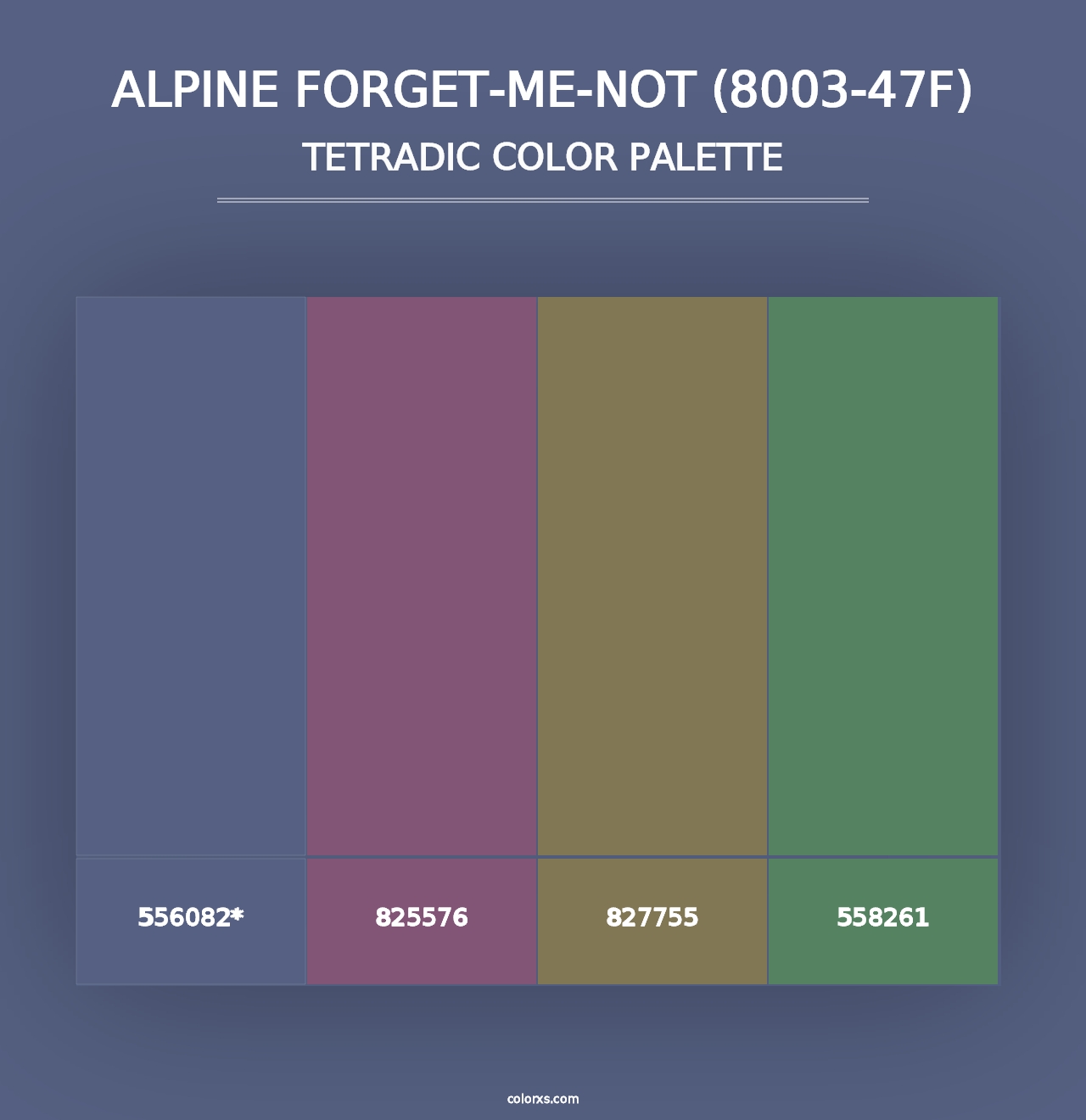 Alpine Forget-Me-Not (8003-47F) - Tetradic Color Palette