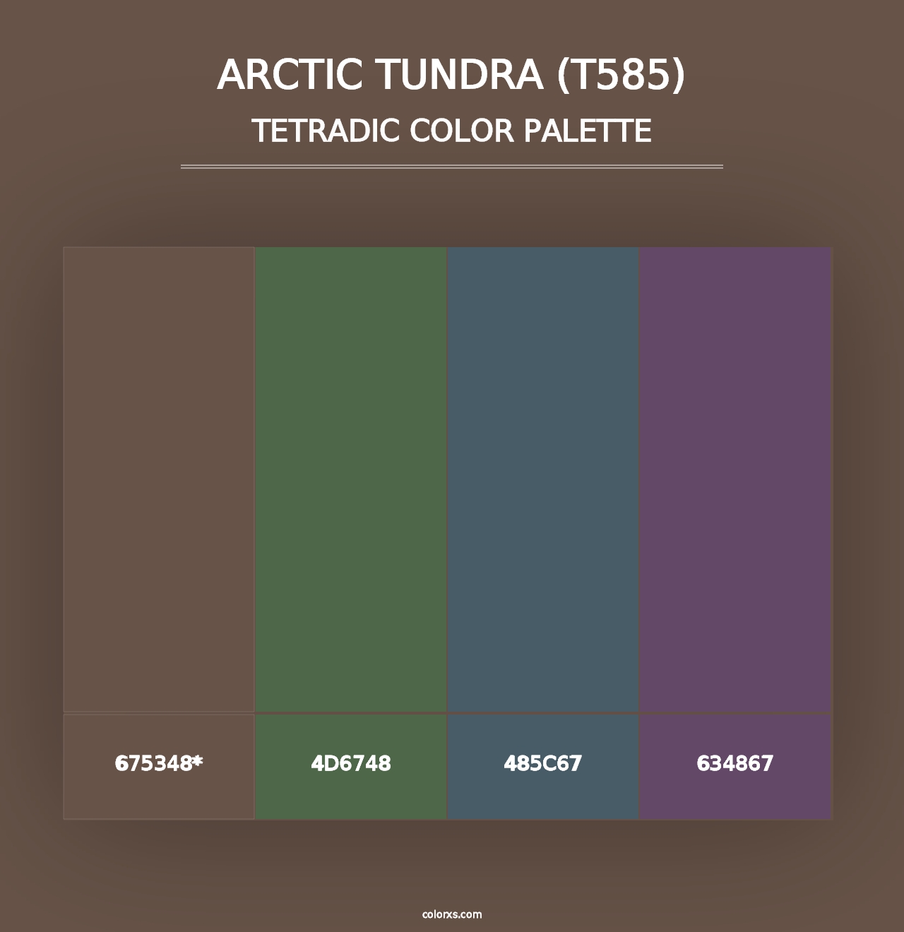 Arctic Tundra (T585) - Tetradic Color Palette