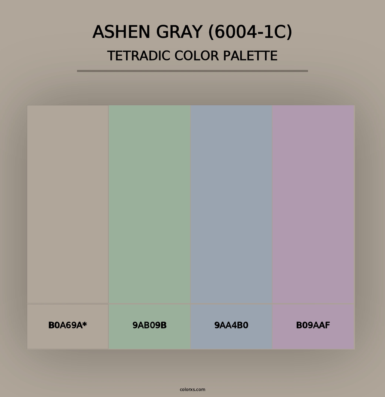 Ashen Gray (6004-1C) - Tetradic Color Palette