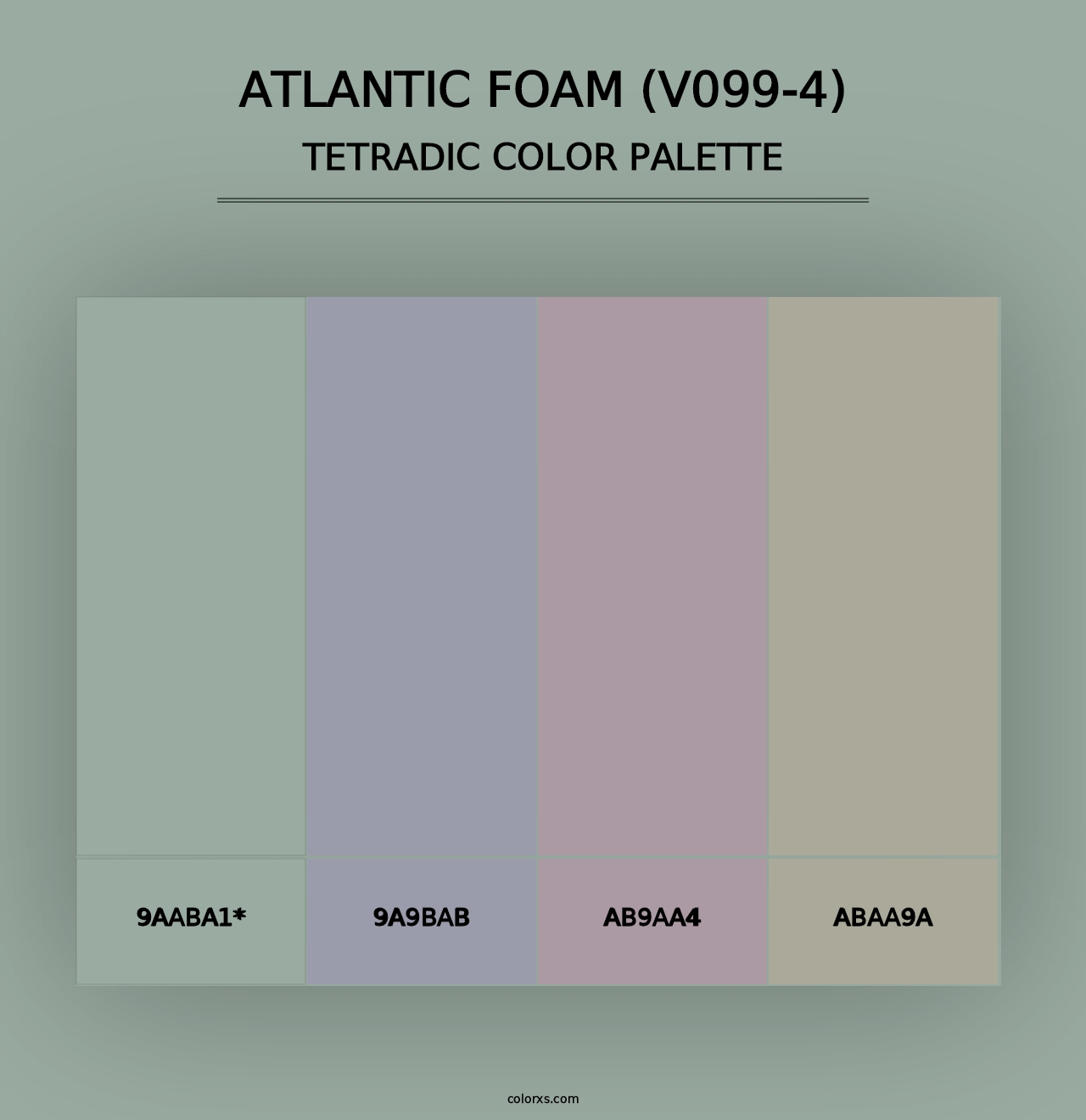 Atlantic Foam (V099-4) - Tetradic Color Palette