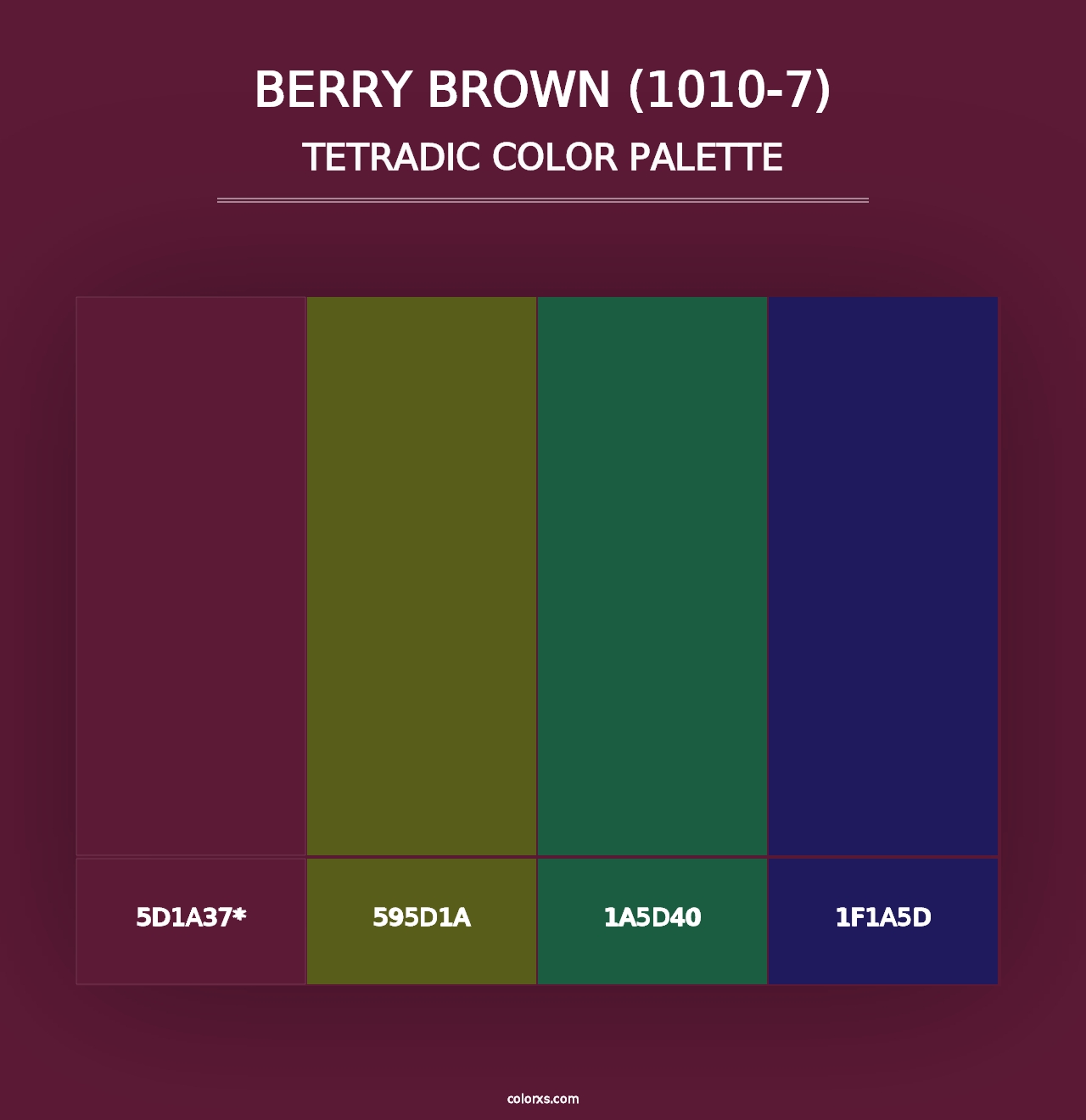 Berry Brown (1010-7) - Tetradic Color Palette