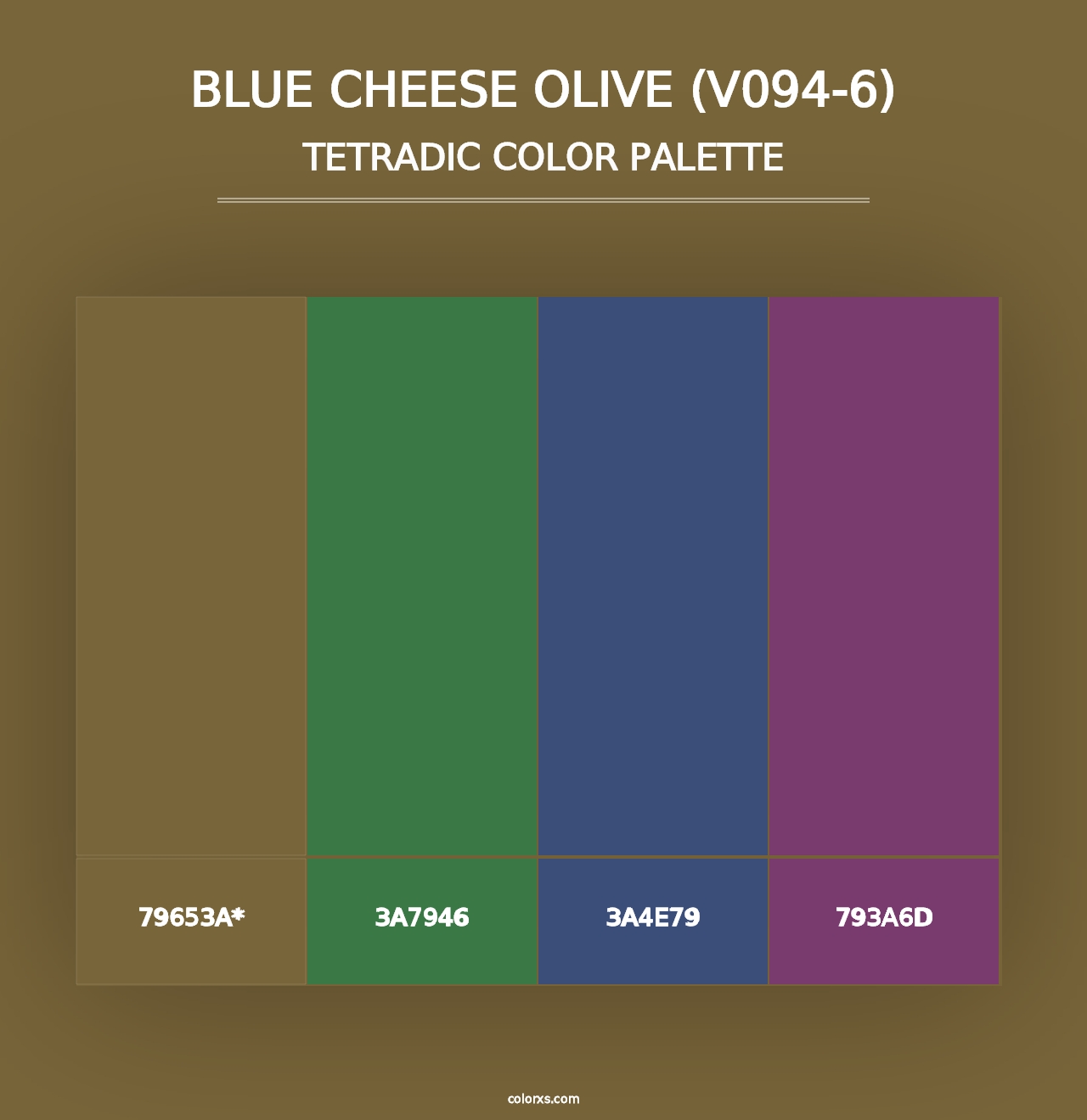 Blue Cheese Olive (V094-6) - Tetradic Color Palette