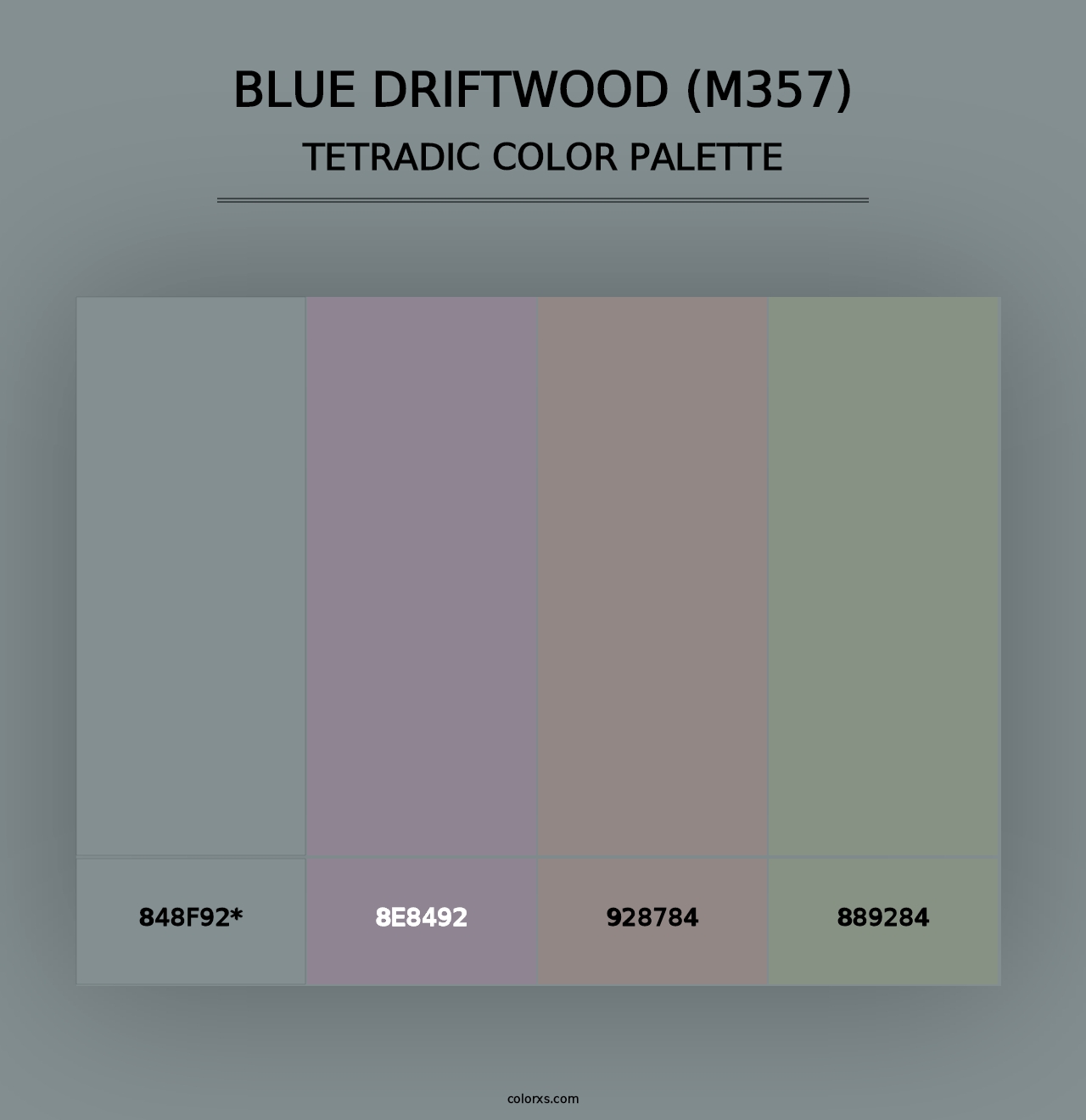 Blue Driftwood (M357) - Tetradic Color Palette