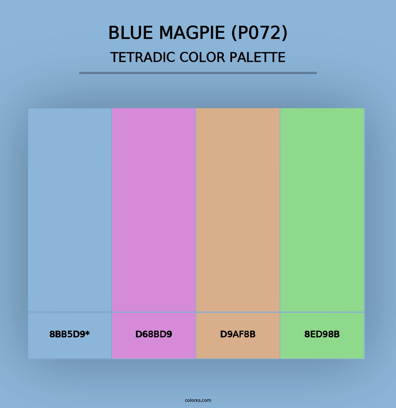 Blue Magpie (P072) - Tetradic Color Palette